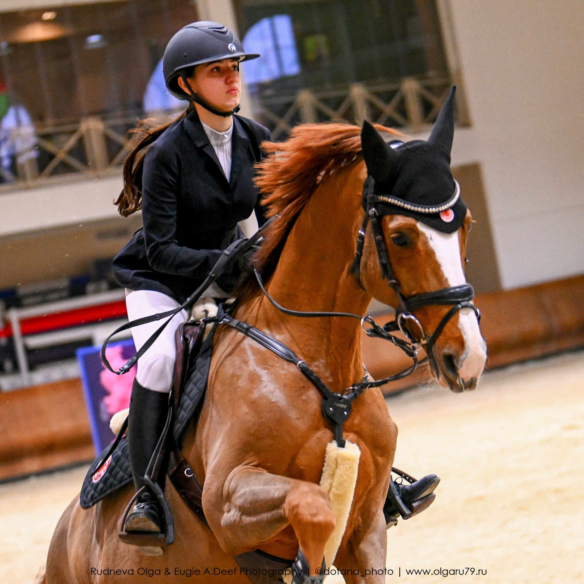 2025.10.26 — КСК Виват, Россия! конкур. ТУРНИРНАЯ КОННАЯ ФОТОГРАФИЯ, Руднева Ольга и Евгений Адеев