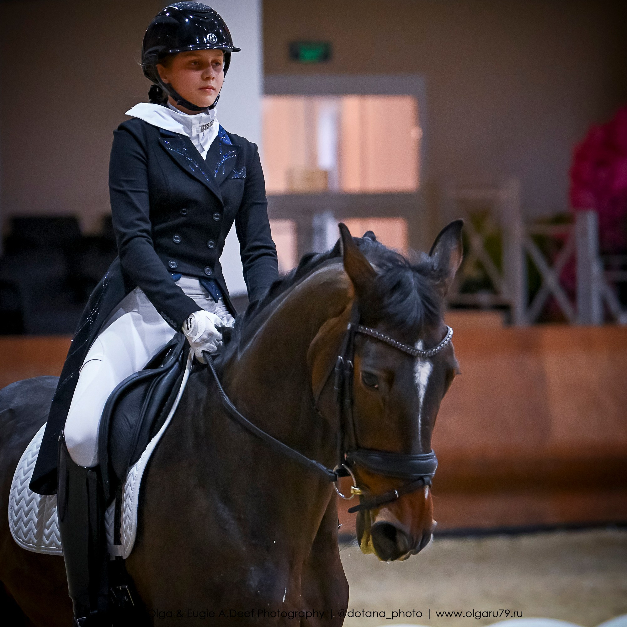 2025.10.30 и 31 — КСК Виват, Россия! (выездка). ТУРНИРНАЯ КОННАЯ ФОТОГРАФИЯ, Руднева Ольга и Евгений Адеев