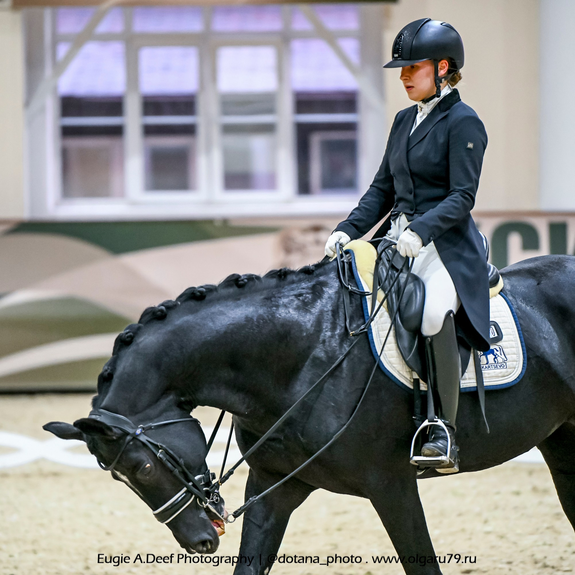 2025.10.30 и 31 — КСК Виват, Россия! (выездка). ТУРНИРНАЯ КОННАЯ ФОТОГРАФИЯ, Руднева Ольга и Евгений Адеев