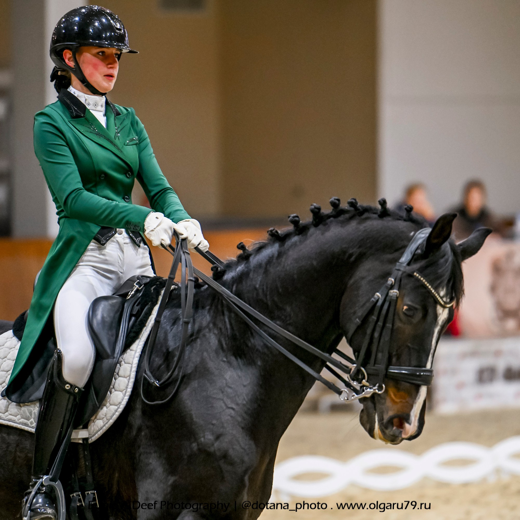 2025.10.30 и 31 — КСК Виват, Россия! (выездка). ТУРНИРНАЯ КОННАЯ ФОТОГРАФИЯ, Руднева Ольга и Евгений Адеев