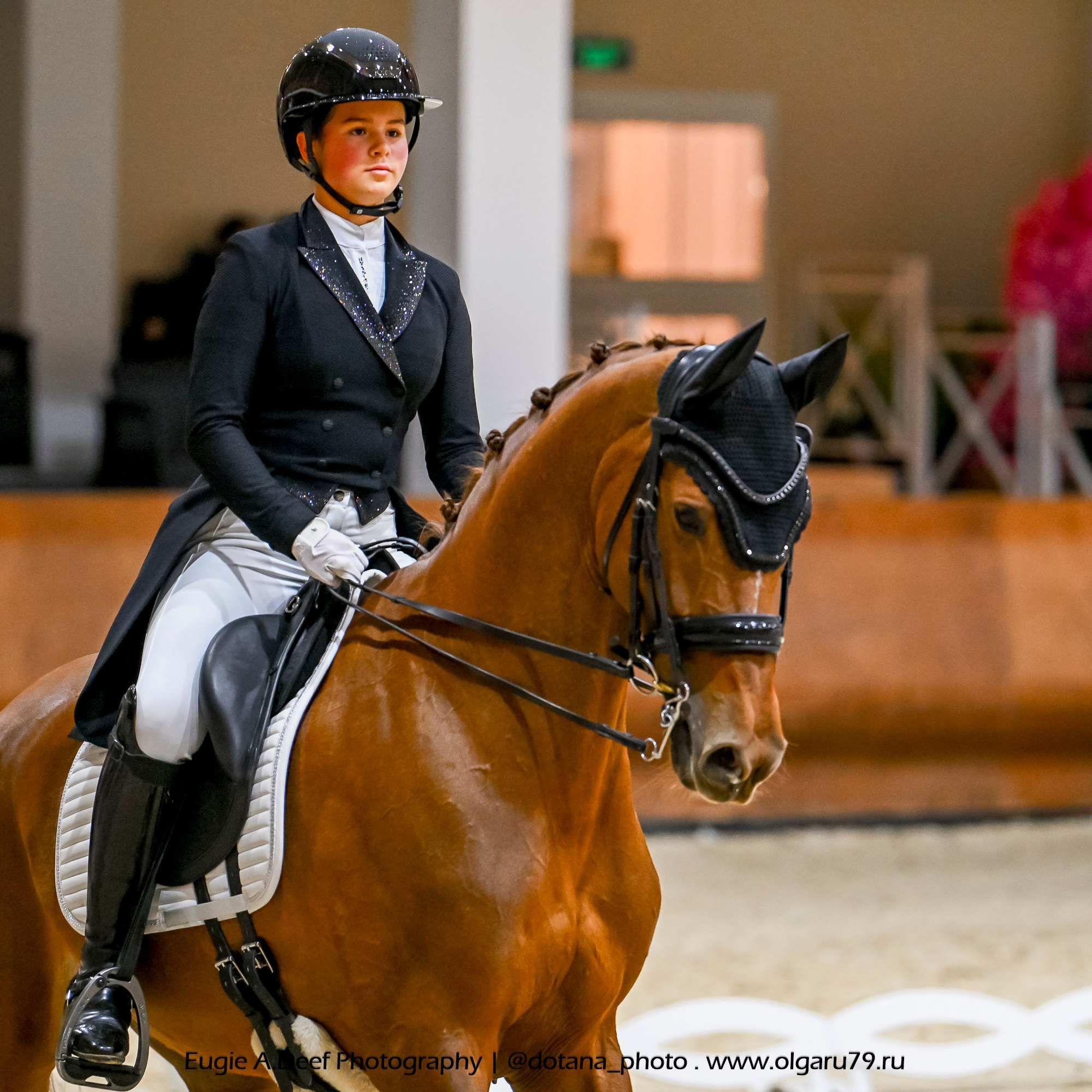 2025.10.30 и 31 — КСК Виват, Россия! (выездка). ТУРНИРНАЯ КОННАЯ ФОТОГРАФИЯ, Руднева Ольга и Евгений Адеев