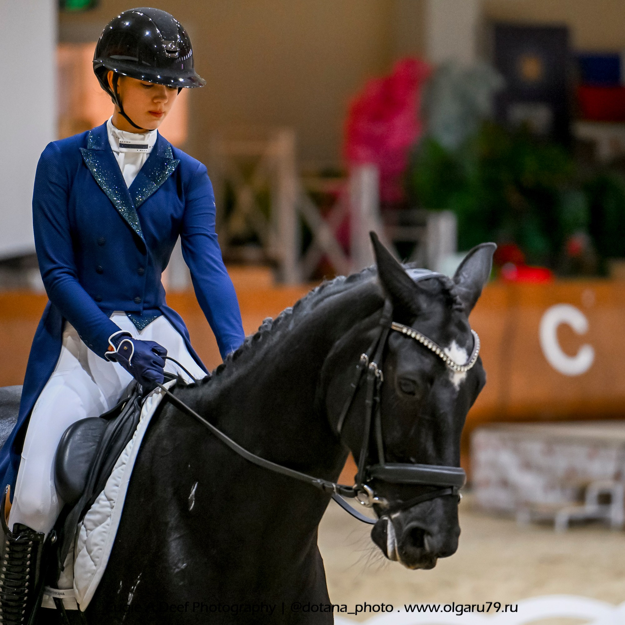 2025.10.30 и 31 — КСК Виват, Россия! (выездка). ТУРНИРНАЯ КОННАЯ ФОТОГРАФИЯ, Руднева Ольга и Евгений Адеев