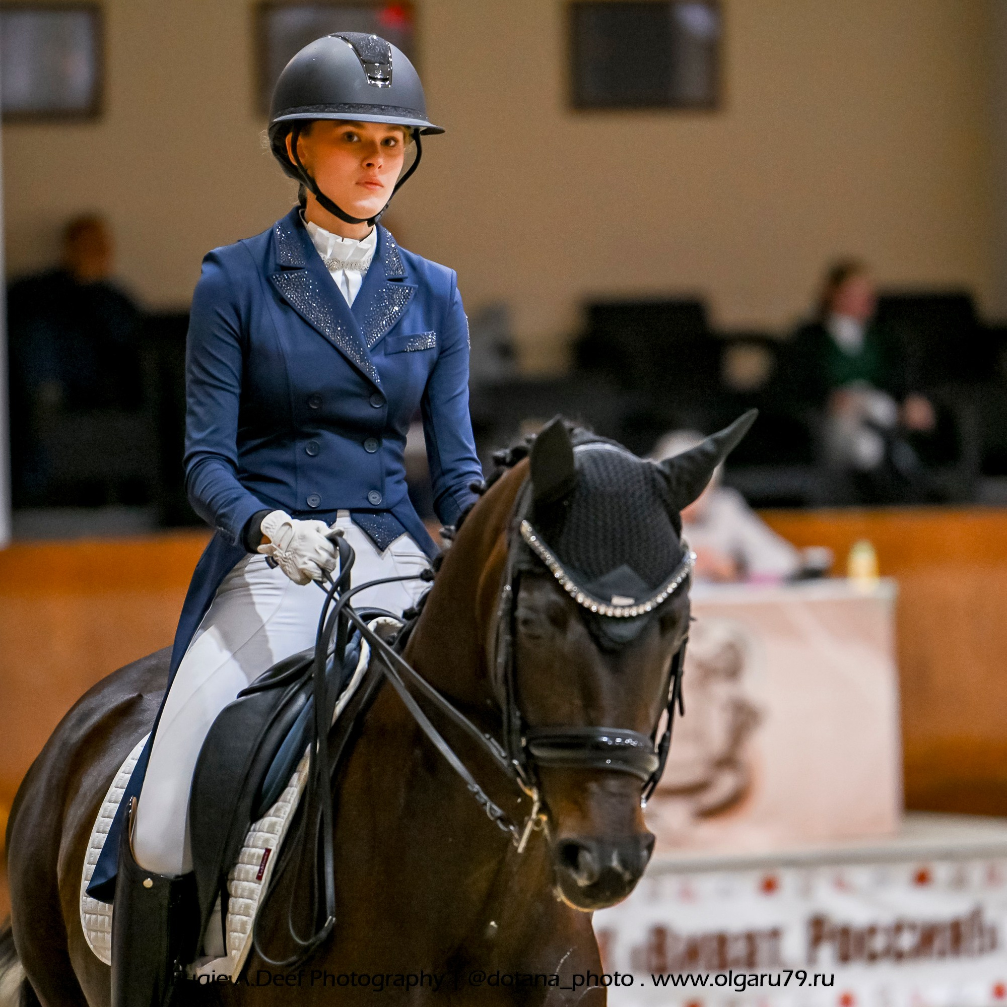 2025.10.30 и 31 — КСК Виват, Россия! (выездка). ТУРНИРНАЯ КОННАЯ ФОТОГРАФИЯ, Руднева Ольга и Евгений Адеев