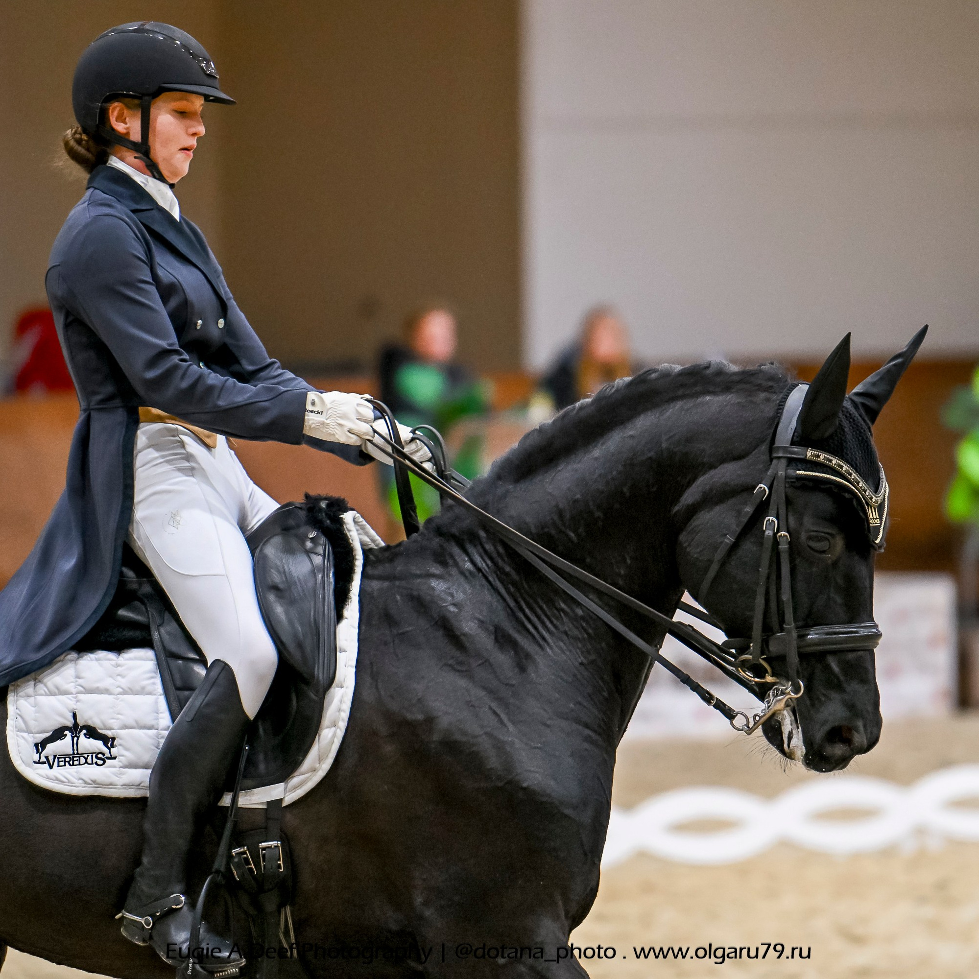 2025.10.30 и 31 — КСК Виват, Россия! (выездка). ТУРНИРНАЯ КОННАЯ ФОТОГРАФИЯ, Руднева Ольга и Евгений Адеев