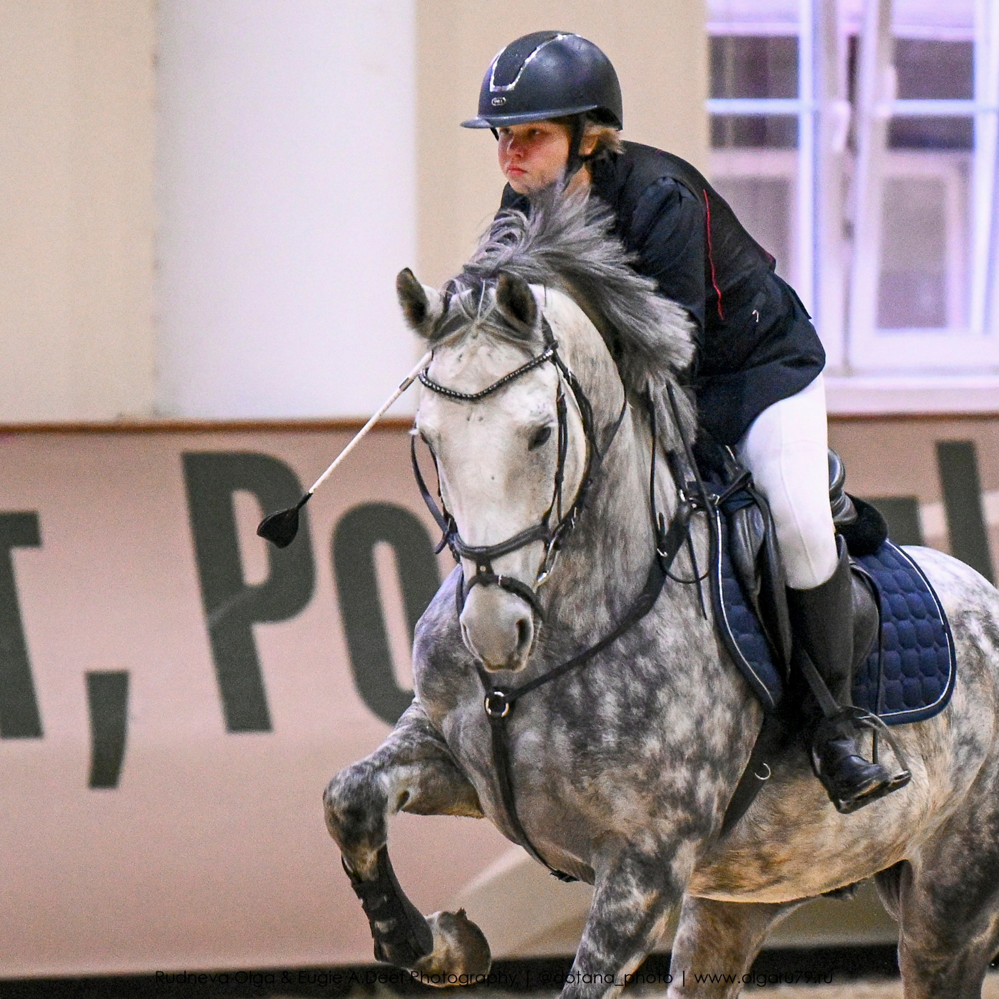2025.10.26 — КСК Виват, Россия! конкур. ТУРНИРНАЯ КОННАЯ ФОТОГРАФИЯ, Руднева Ольга и Евгений Адеев