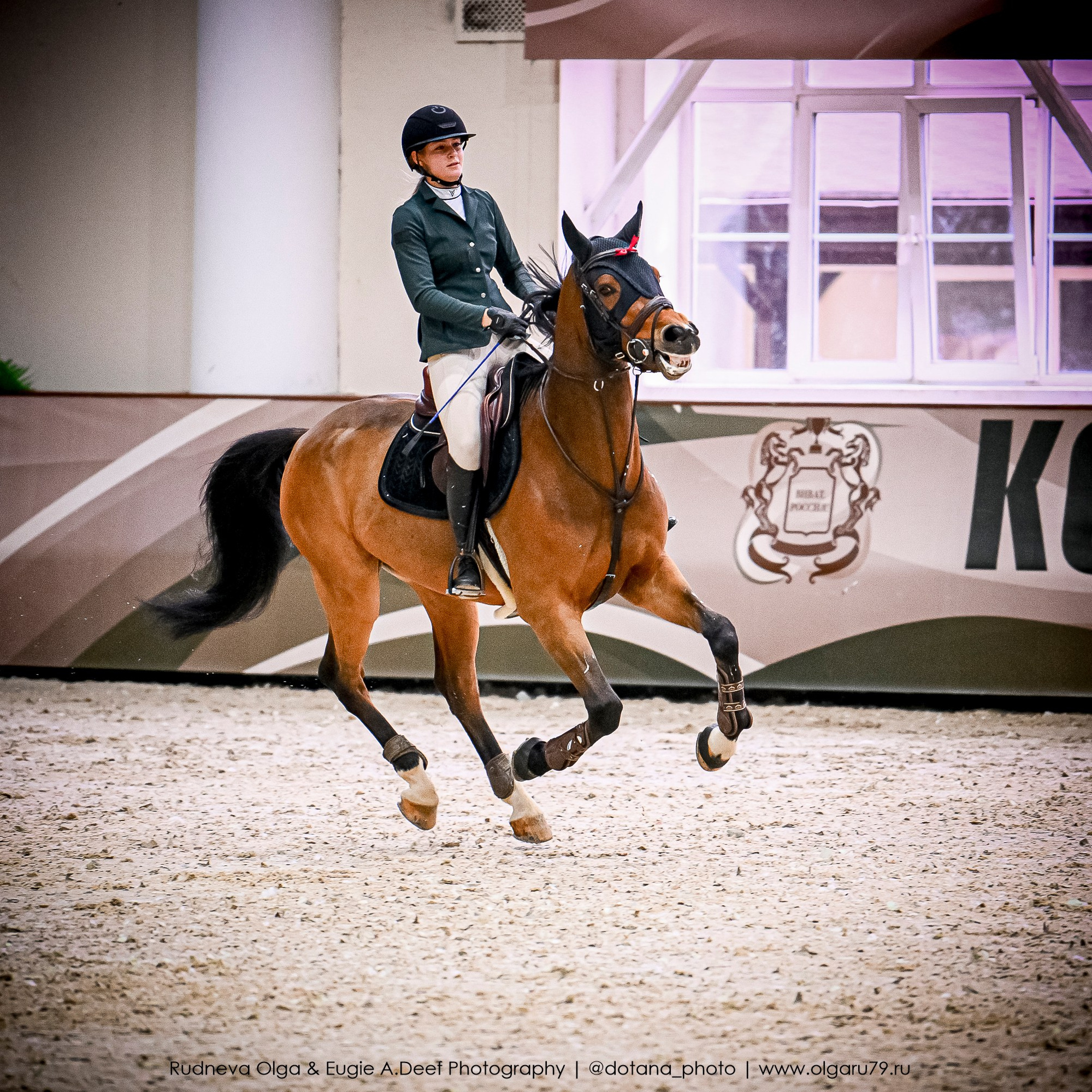2025.10.26 — КСК Виват, Россия! конкур. ТУРНИРНАЯ КОННАЯ ФОТОГРАФИЯ, Руднева Ольга и Евгений Адеев