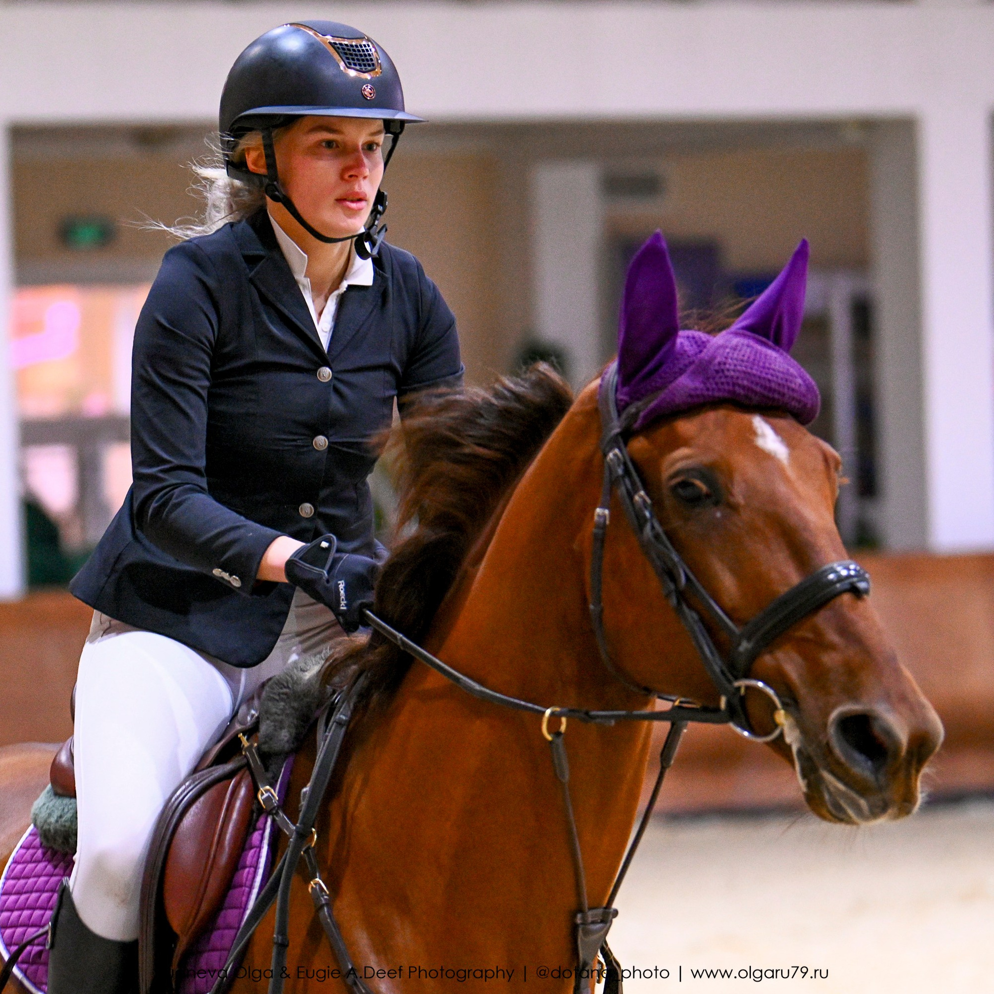 2025.10.26 — КСК Виват, Россия! конкур. ТУРНИРНАЯ КОННАЯ ФОТОГРАФИЯ, Руднева Ольга и Евгений Адеев