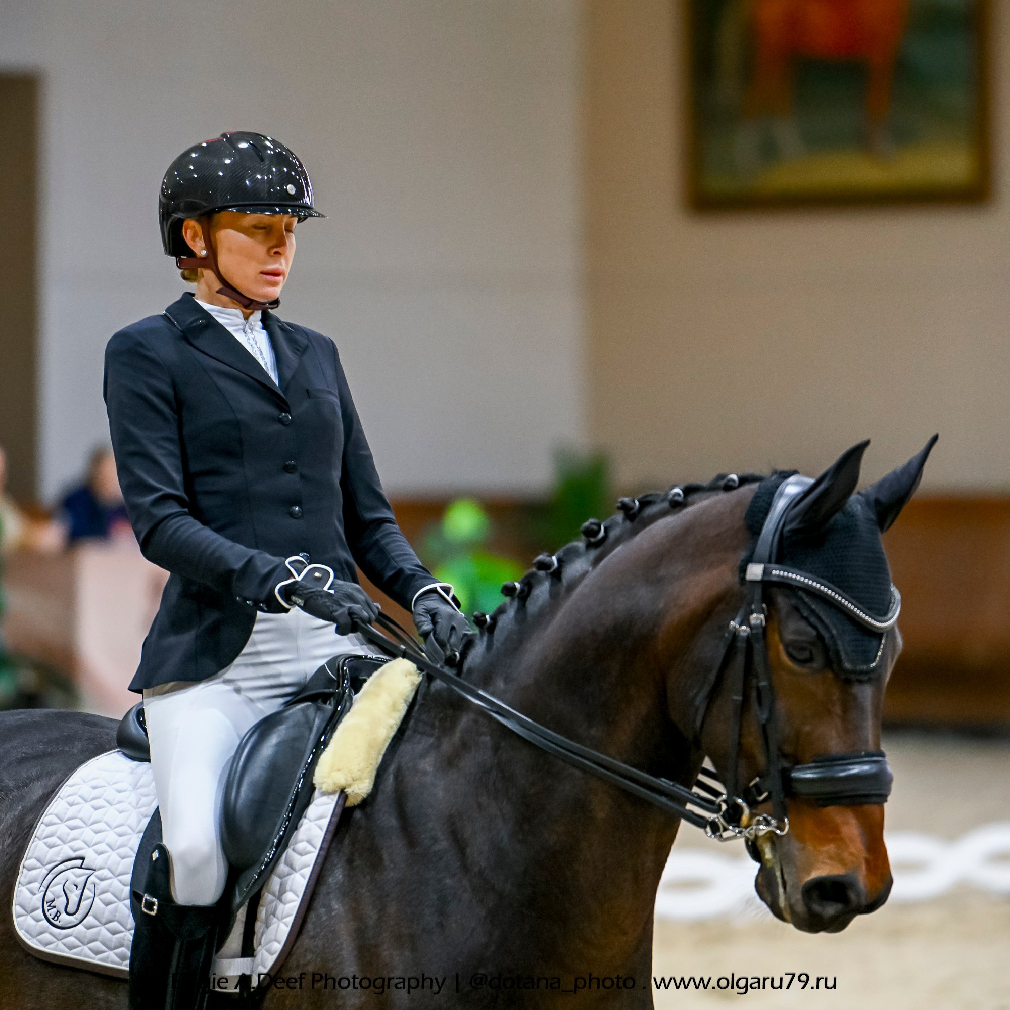 2025.10.30 и 31 — КСК Виват, Россия! (выездка). ТУРНИРНАЯ КОННАЯ ФОТОГРАФИЯ, Руднева Ольга и Евгений Адеев