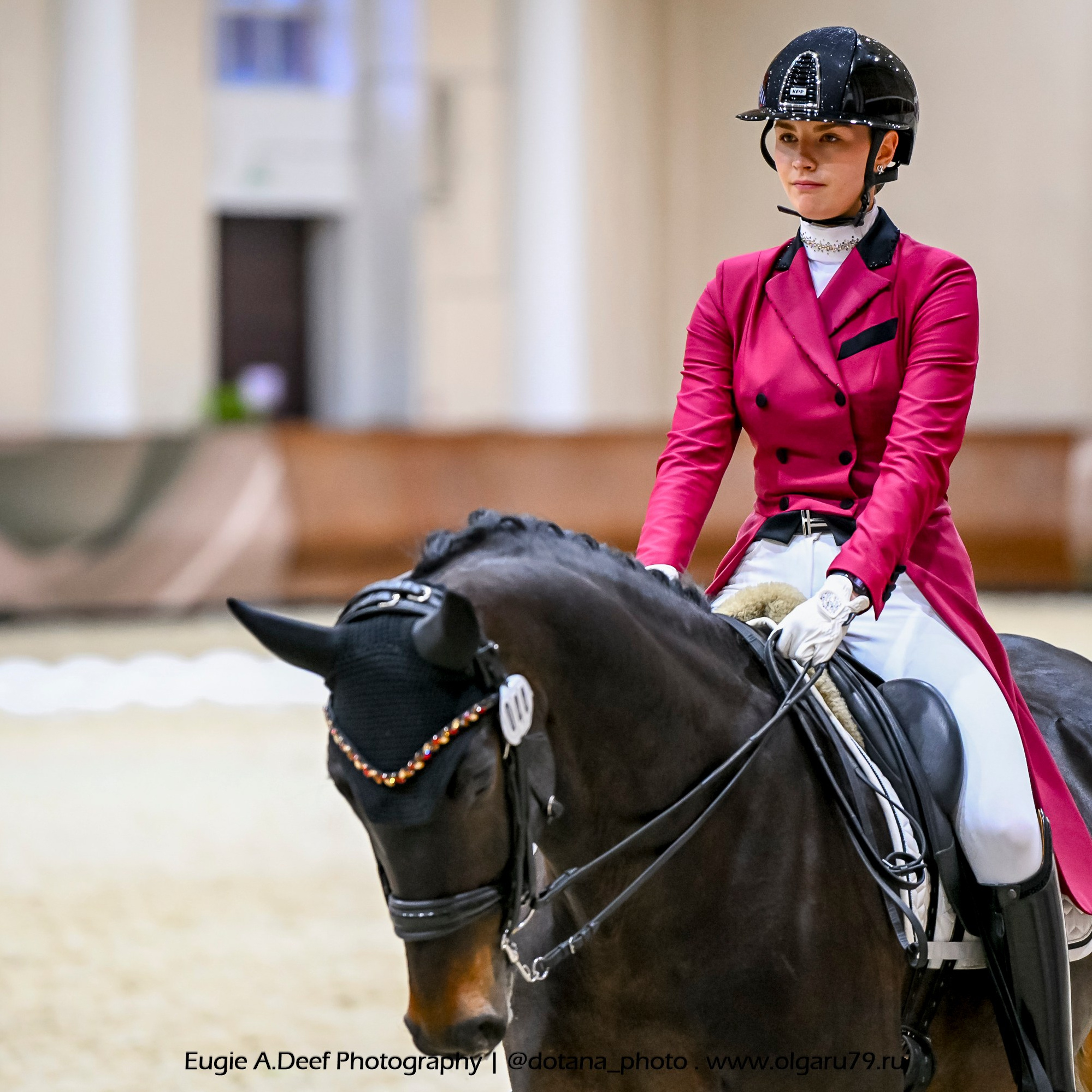 2025.10.30 и 31 — КСК Виват, Россия! (выездка). ТУРНИРНАЯ КОННАЯ ФОТОГРАФИЯ, Руднева Ольга и Евгений Адеев