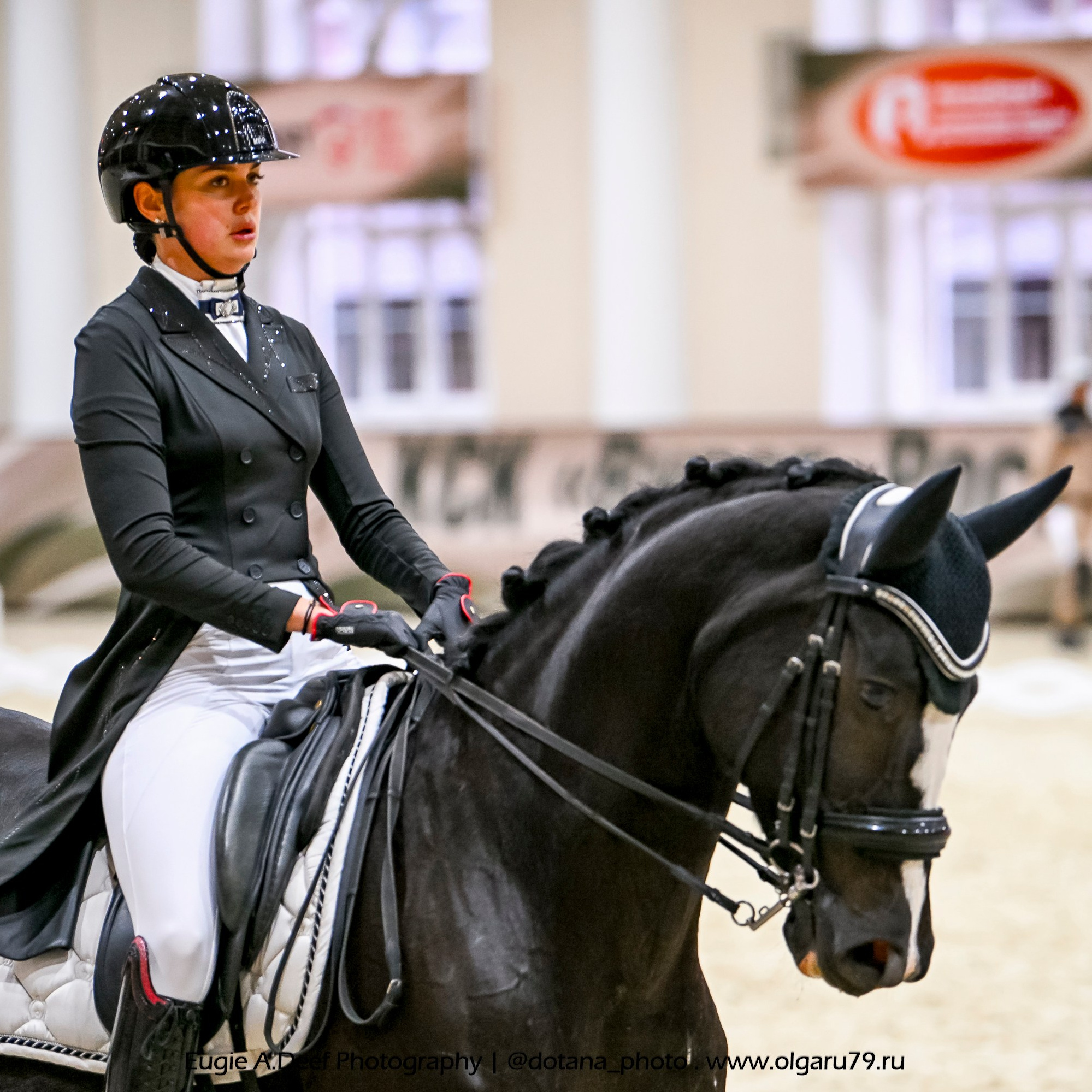 2025.10.30 и 31 — КСК Виват, Россия! (выездка). ТУРНИРНАЯ КОННАЯ ФОТОГРАФИЯ, Руднева Ольга и Евгений Адеев