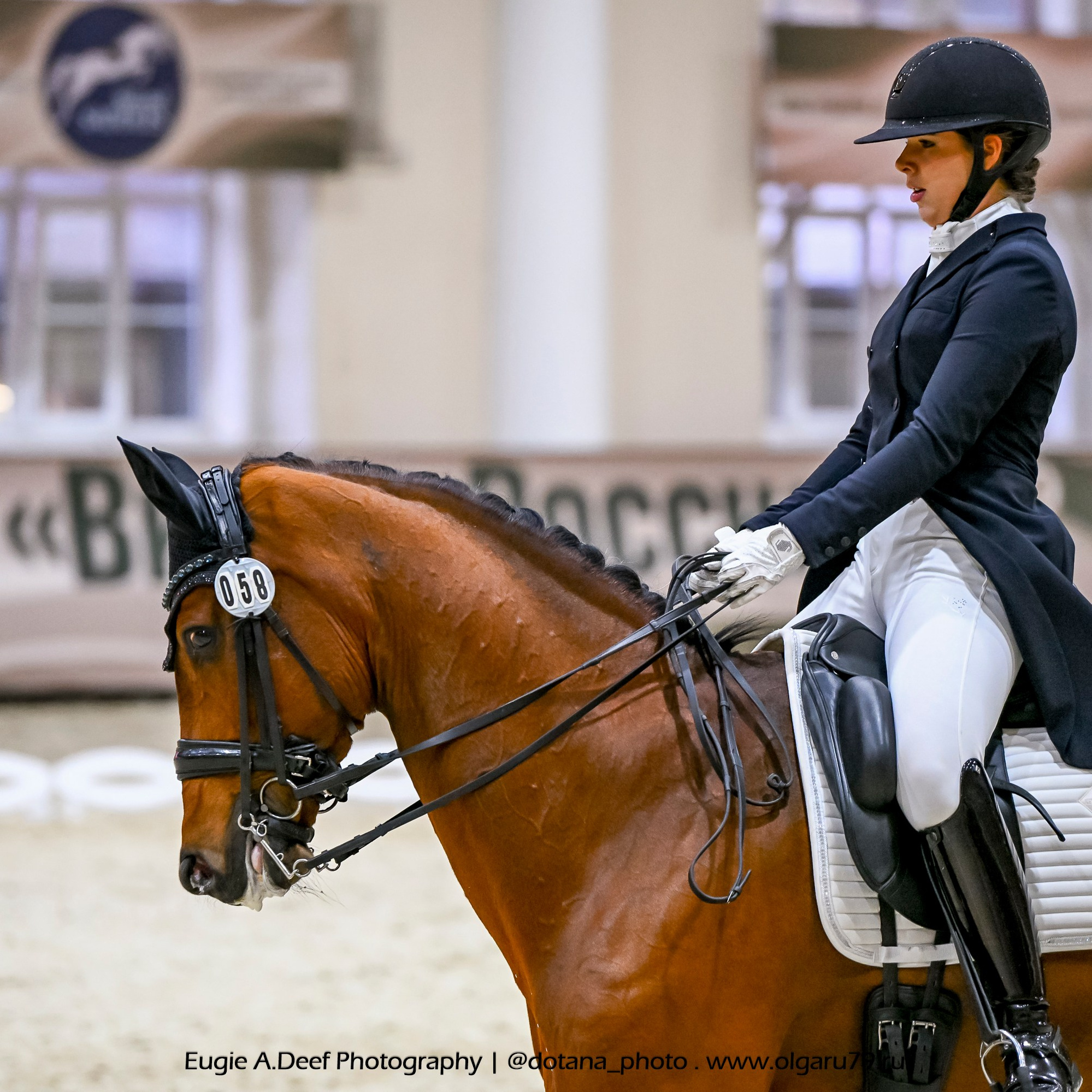 2025.10.30 и 31 — КСК Виват, Россия! (выездка). ТУРНИРНАЯ КОННАЯ ФОТОГРАФИЯ, Руднева Ольга и Евгений Адеев