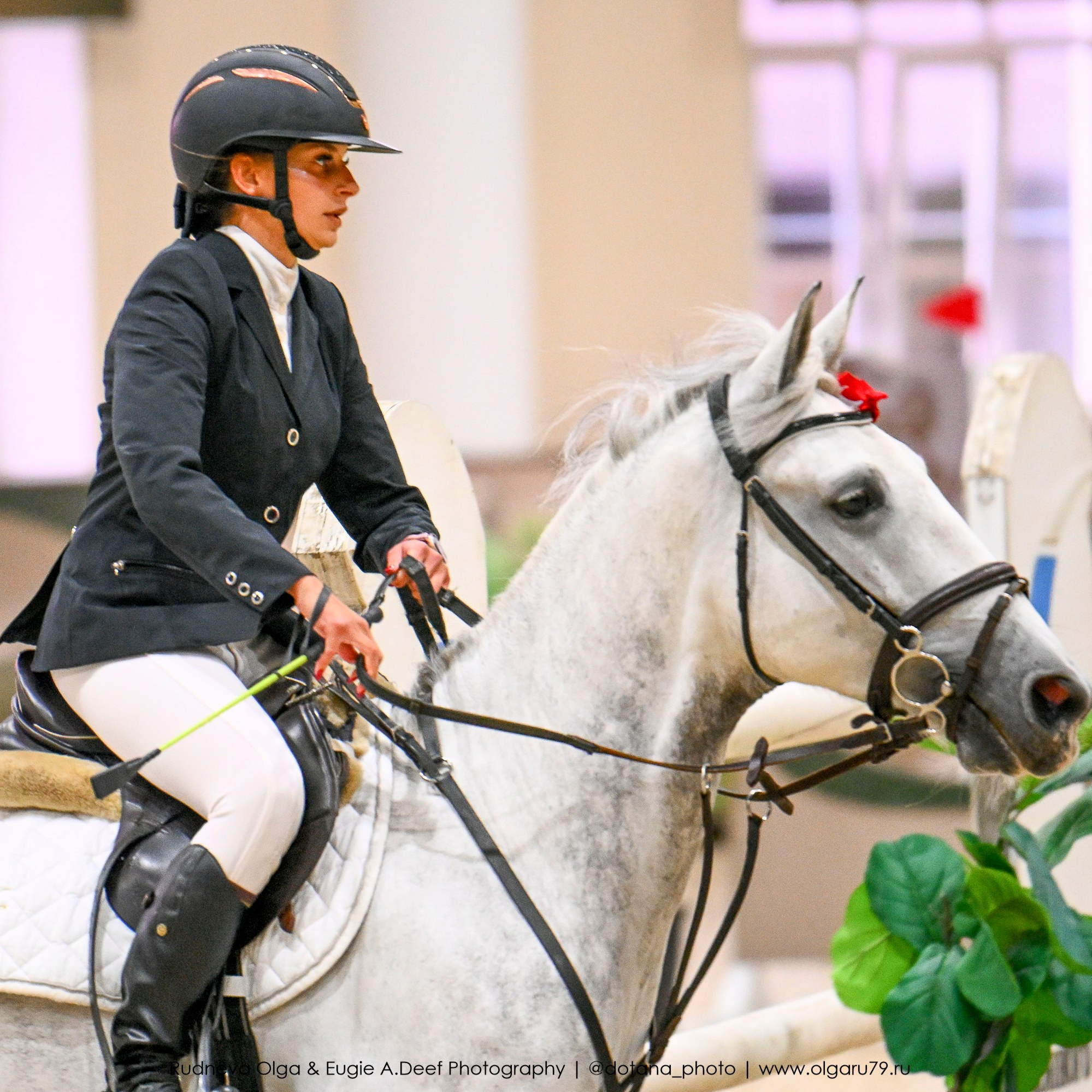 2025.10.26 — КСК Виват, Россия! конкур. ТУРНИРНАЯ КОННАЯ ФОТОГРАФИЯ, Руднева Ольга и Евгений Адеев