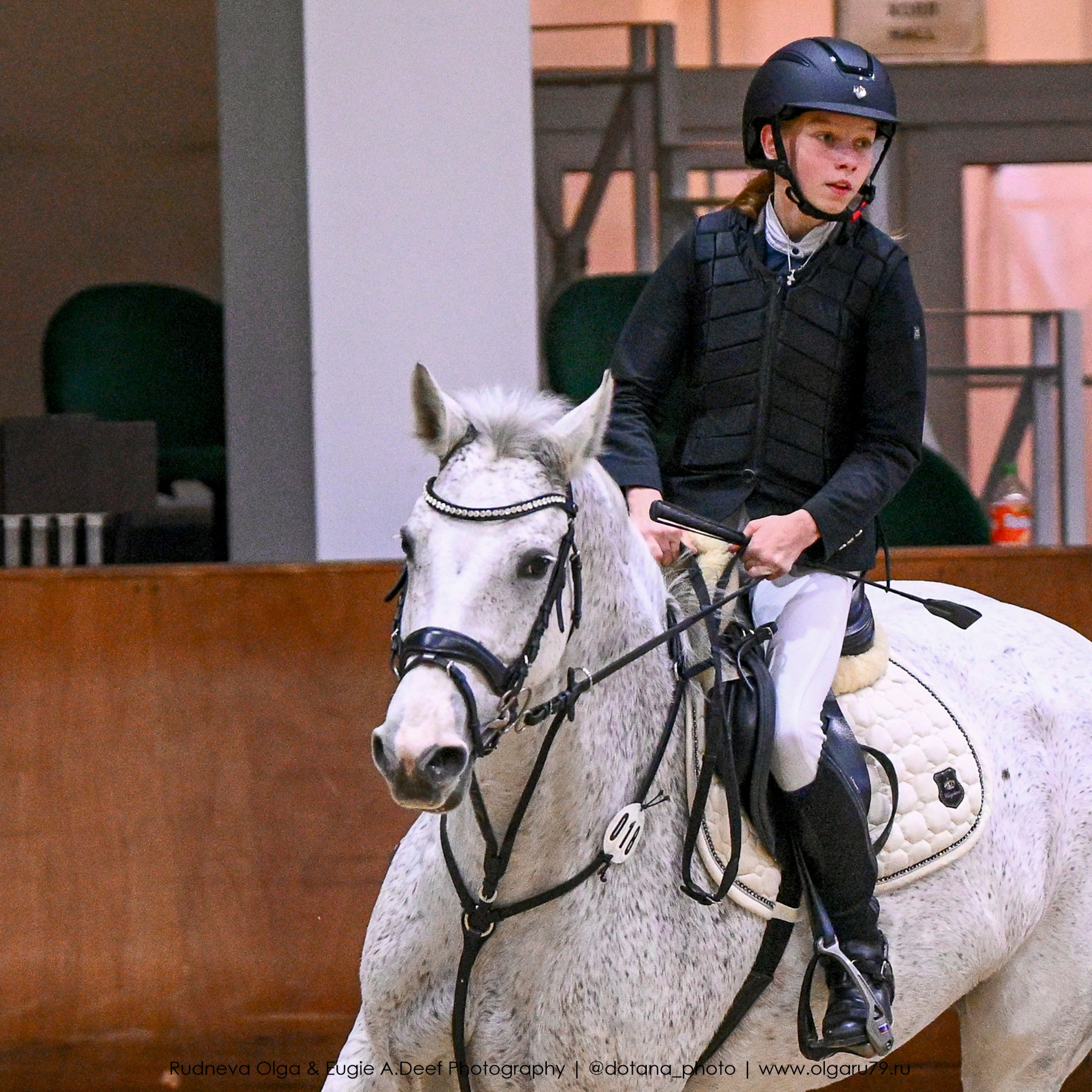 2025.10.26 — КСК Виват, Россия! конкур. ТУРНИРНАЯ КОННАЯ ФОТОГРАФИЯ, Руднева Ольга и Евгений Адеев