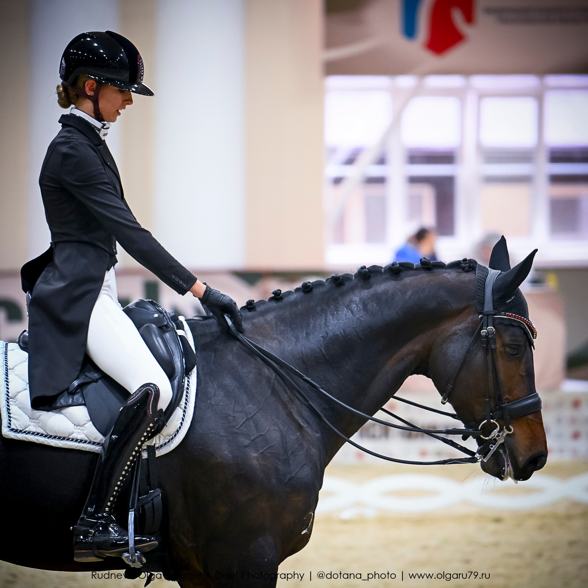 2025.10.30 и 31 — КСК Виват, Россия! (выездка). ТУРНИРНАЯ КОННАЯ ФОТОГРАФИЯ, Руднева Ольга и Евгений Адеев