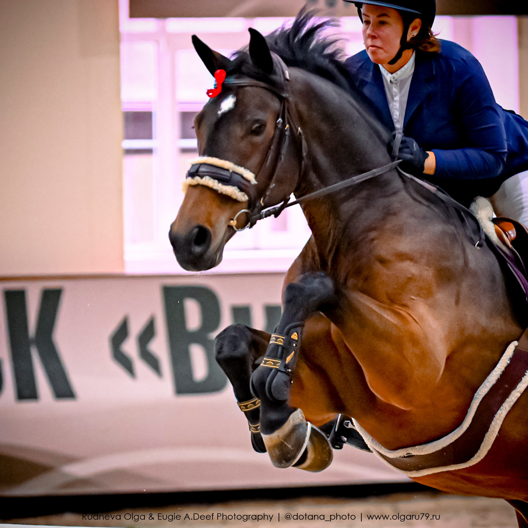2025.10.26 — КСК Виват, Россия! конкур. ТУРНИРНАЯ КОННАЯ ФОТОГРАФИЯ, Руднева Ольга и Евгений Адеев