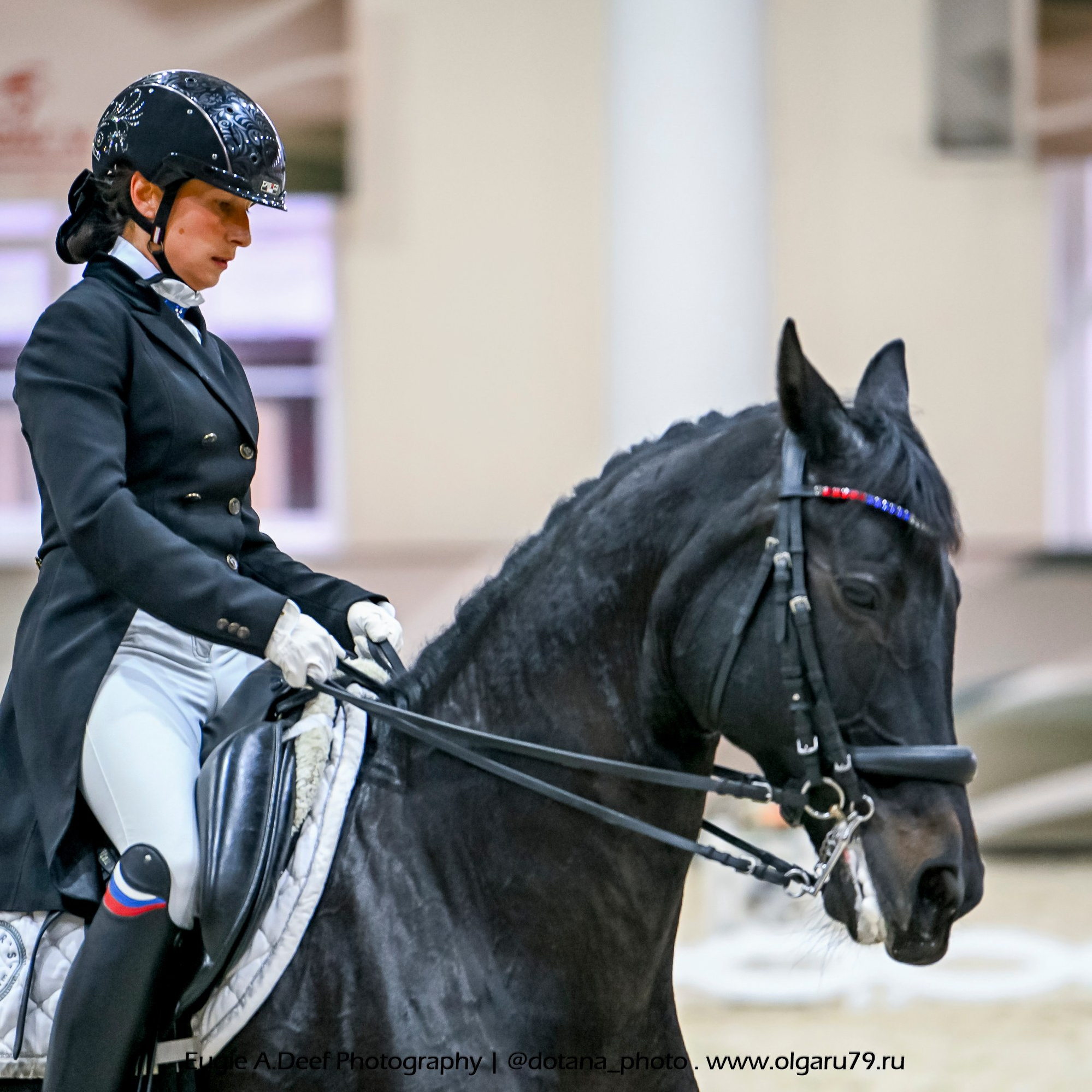 2025.10.30 и 31 — КСК Виват, Россия! (выездка). ТУРНИРНАЯ КОННАЯ ФОТОГРАФИЯ, Руднева Ольга и Евгений Адеев