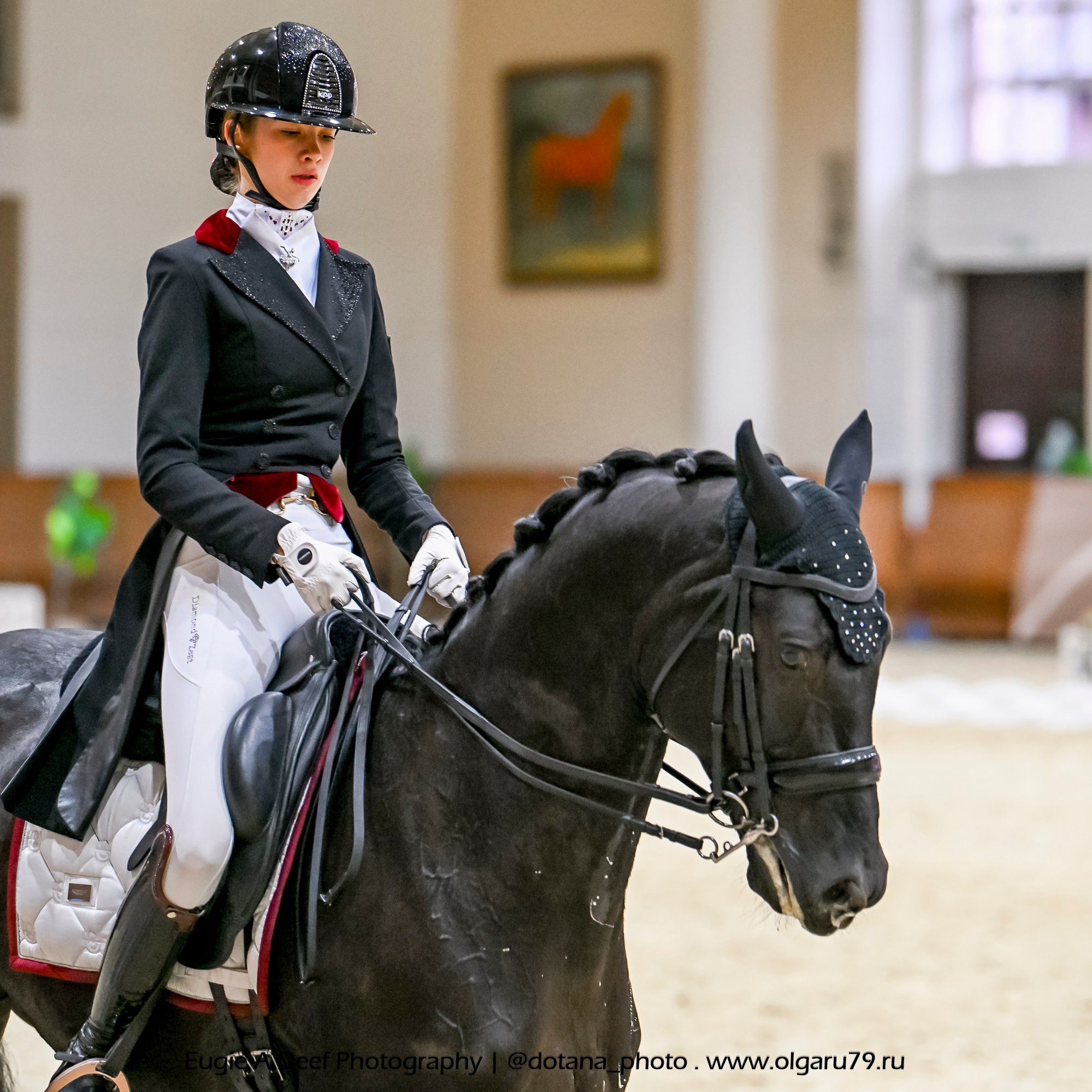 2025.10.30 и 31 — КСК Виват, Россия! (выездка). ТУРНИРНАЯ КОННАЯ ФОТОГРАФИЯ, Руднева Ольга и Евгений Адеев