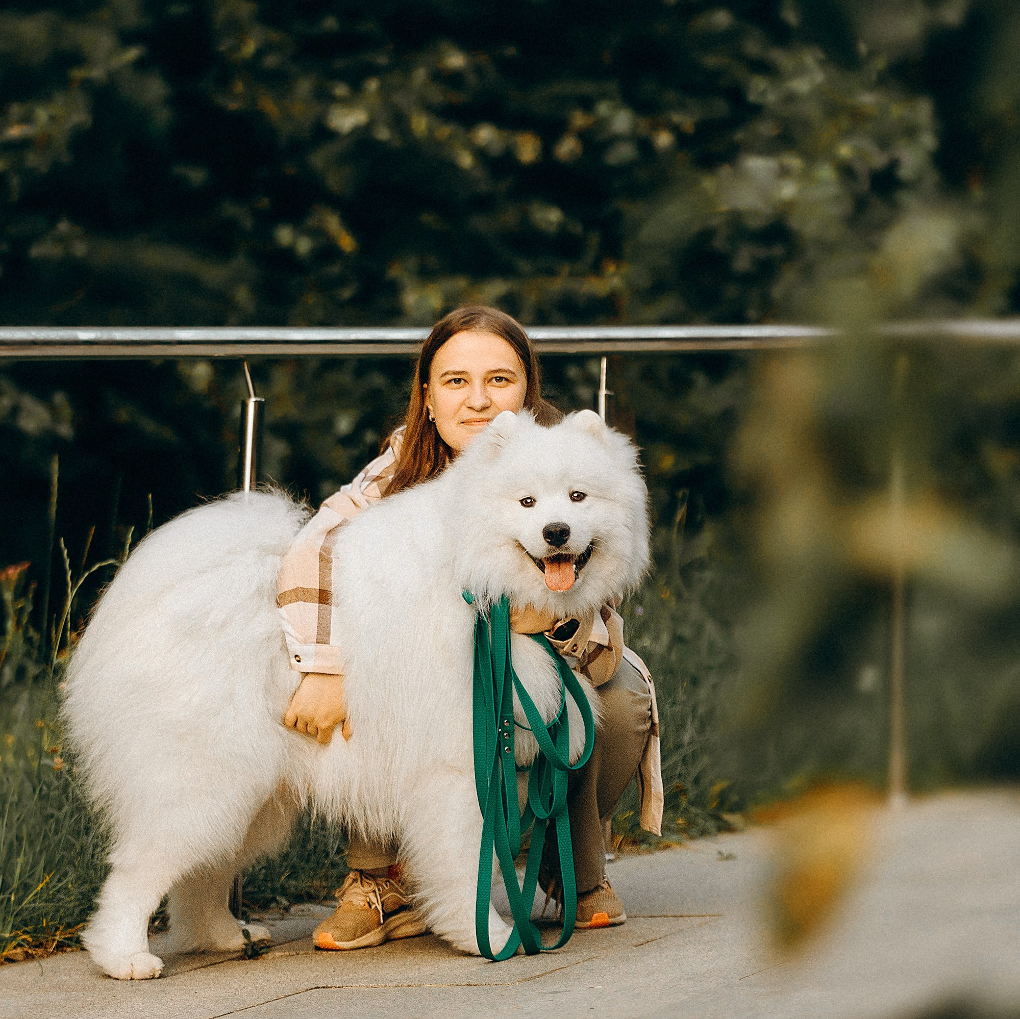 Контакты. Фотограф-анималист в Москве Екатерина Тихонова