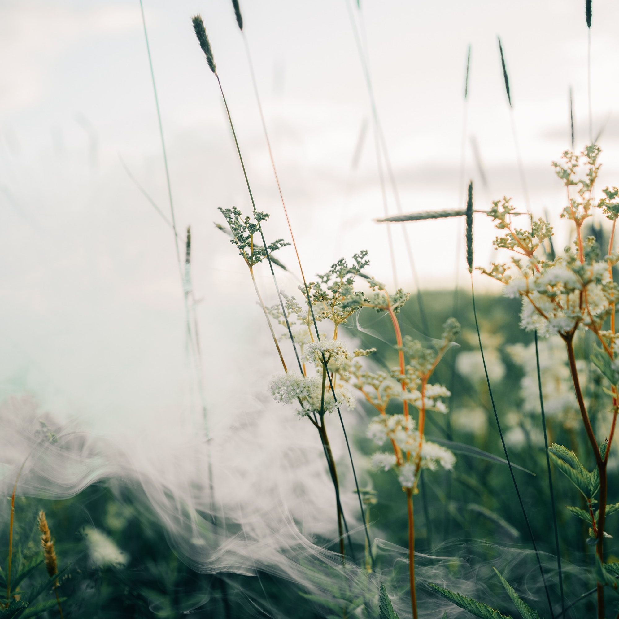 Контакты. Фотограф в Рыбинске и Ярославле Маша Разумова