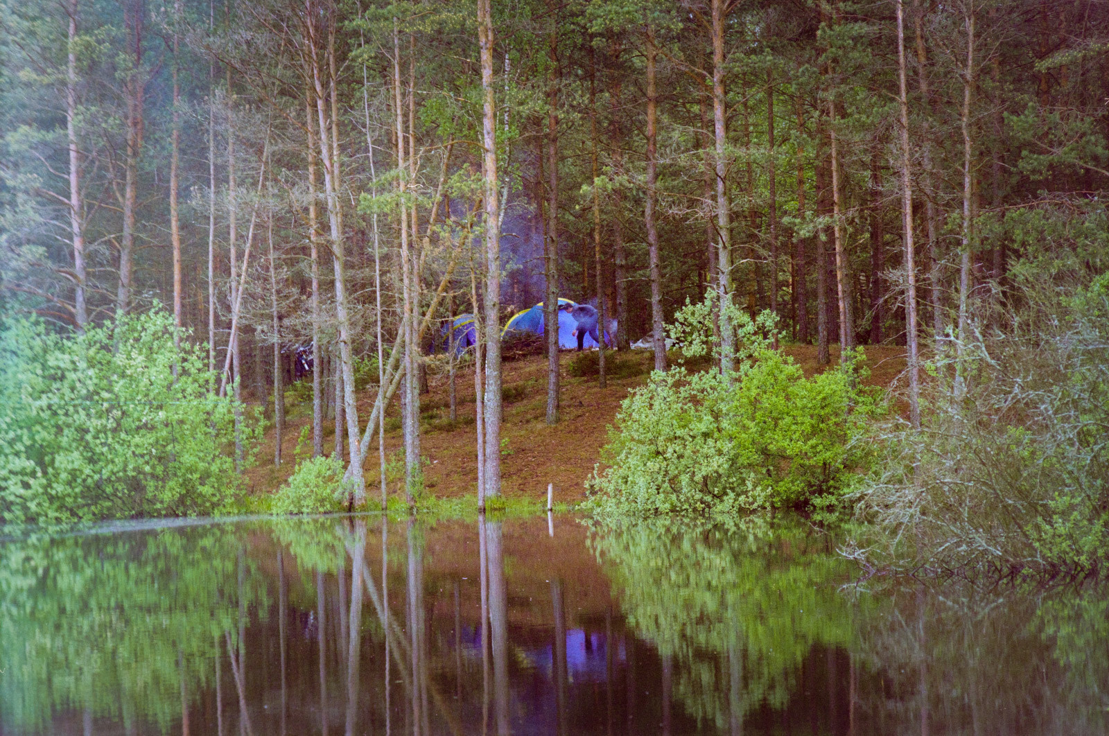 Фотокружок. Фотограф Евгений Стельмах в Молодечно и Минске