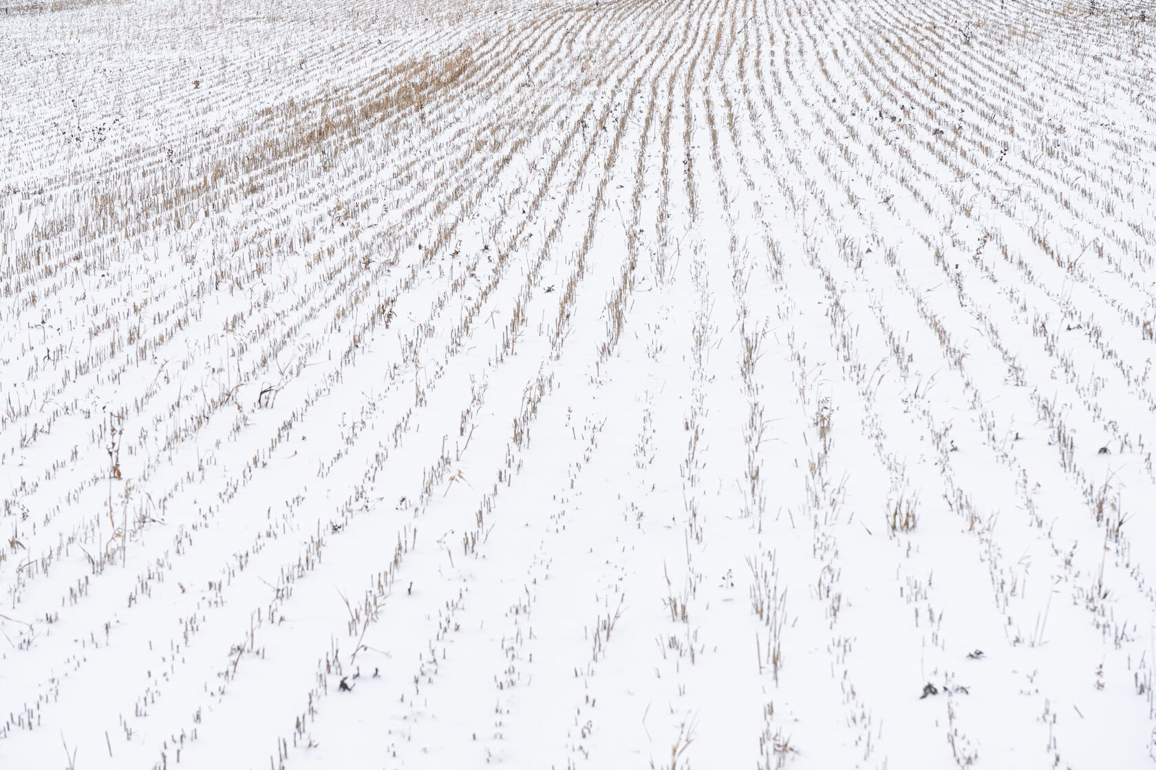 Траектория — Александр Барановский