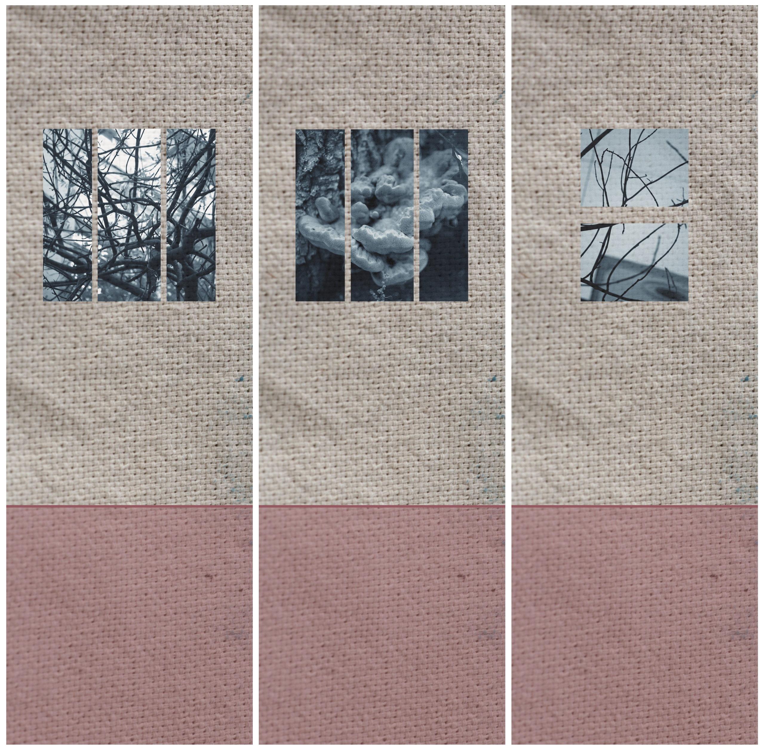 Наталья Алаторцева