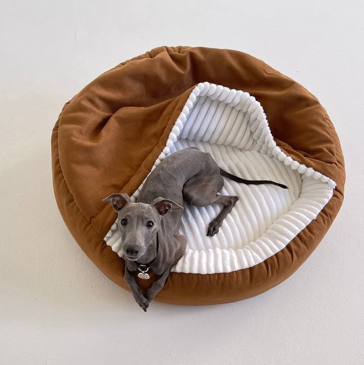 Сон и отдых. Профессиональный питомник левреток РКФ/FCI ASTI SAPPHIRE 💎 Сочи|Санкт-Петербург