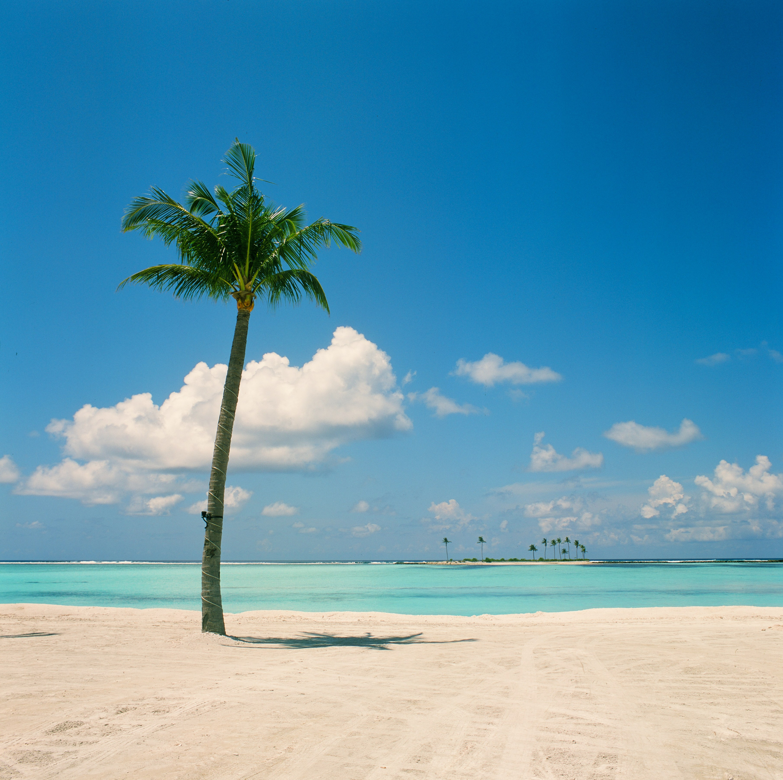 Алексей Попов