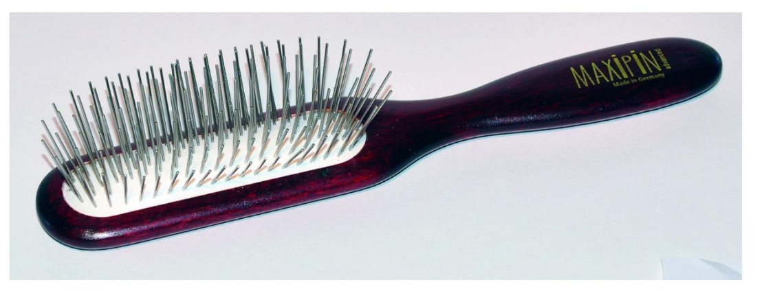 Рекомендации в ухаживании за щенком!. Питомник Йоркширских терьеров Дэнстайл в Санкт-Петербурге заводчик Тих