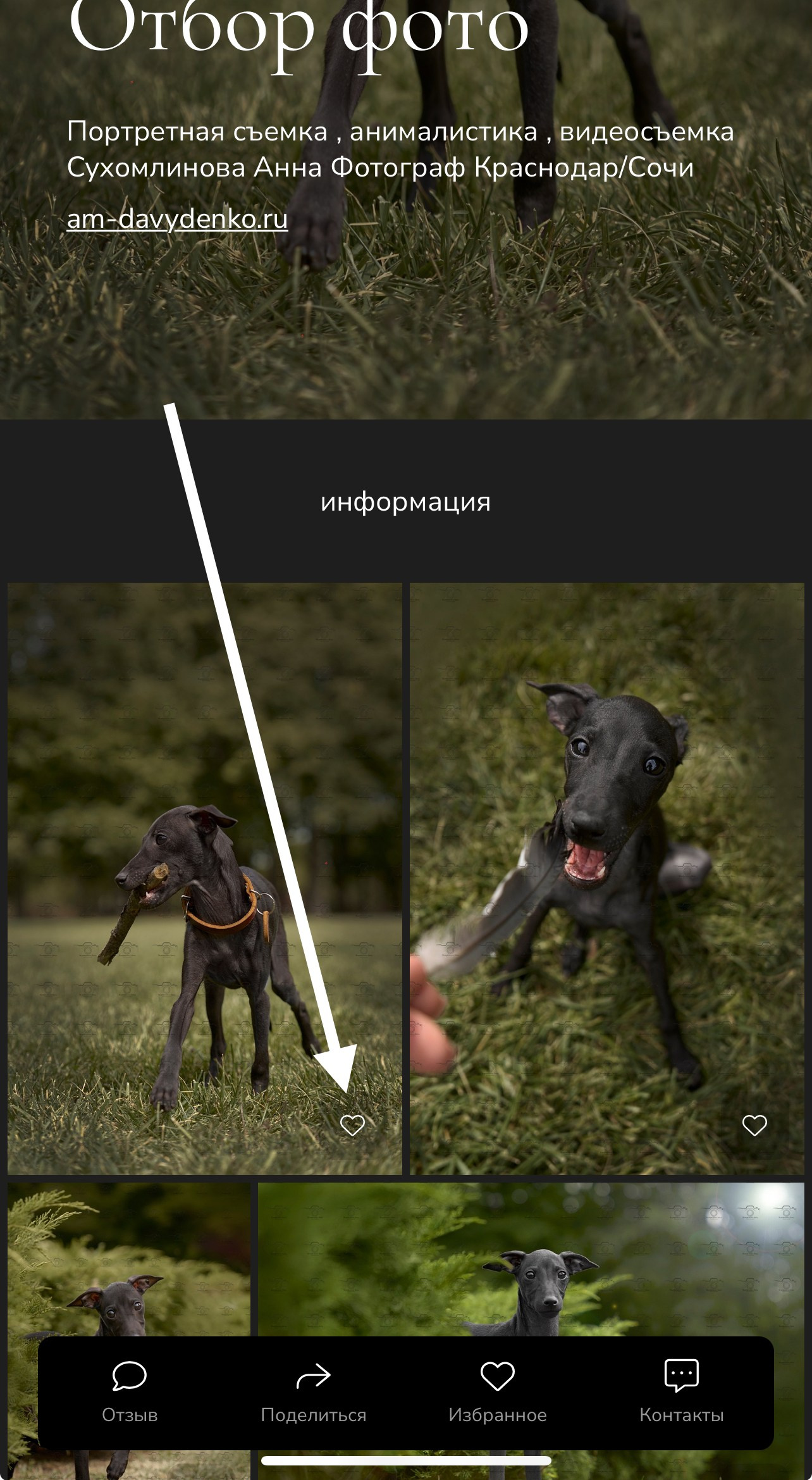 Отбор фотографий