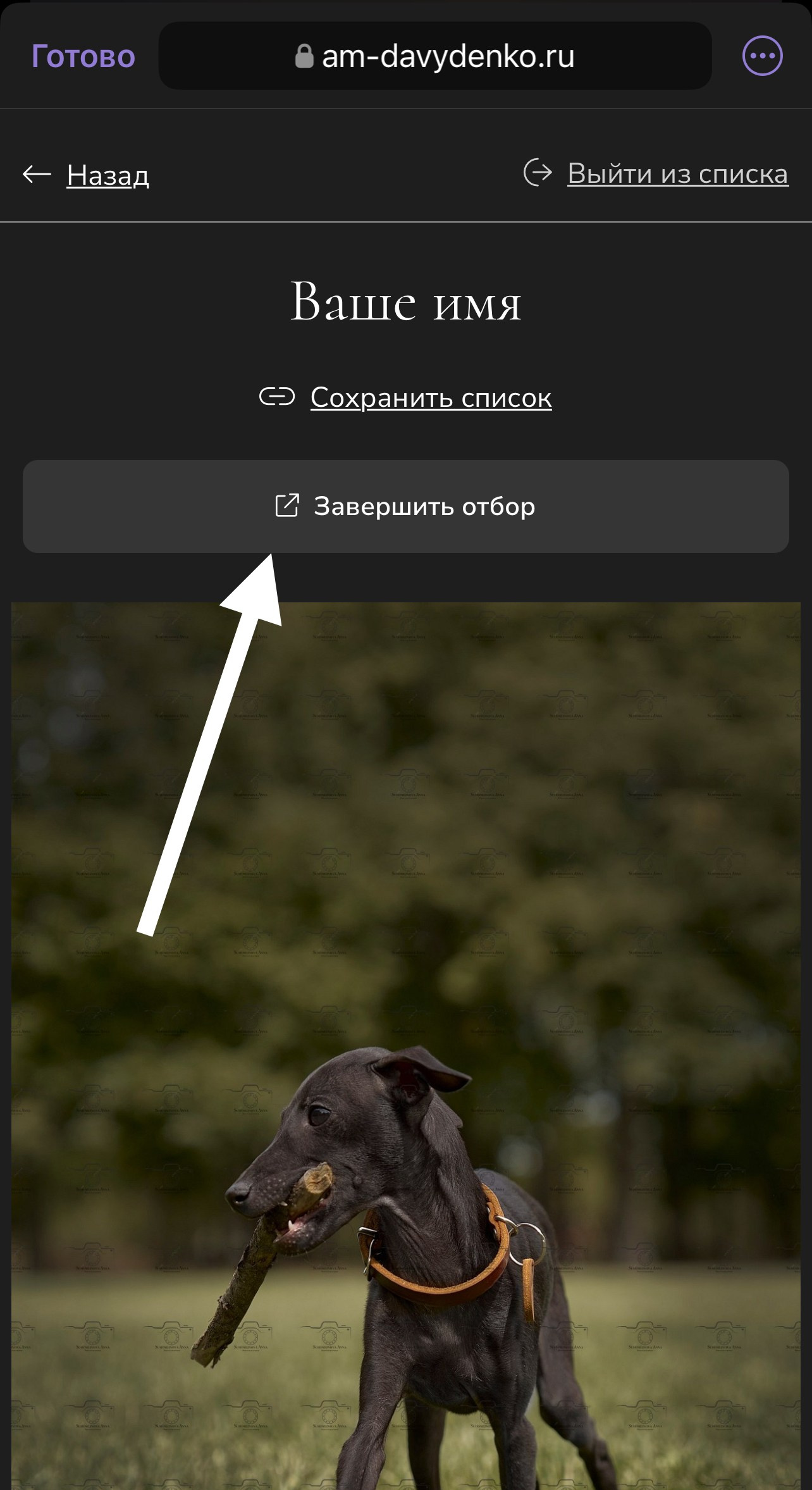 Отбор фотографий