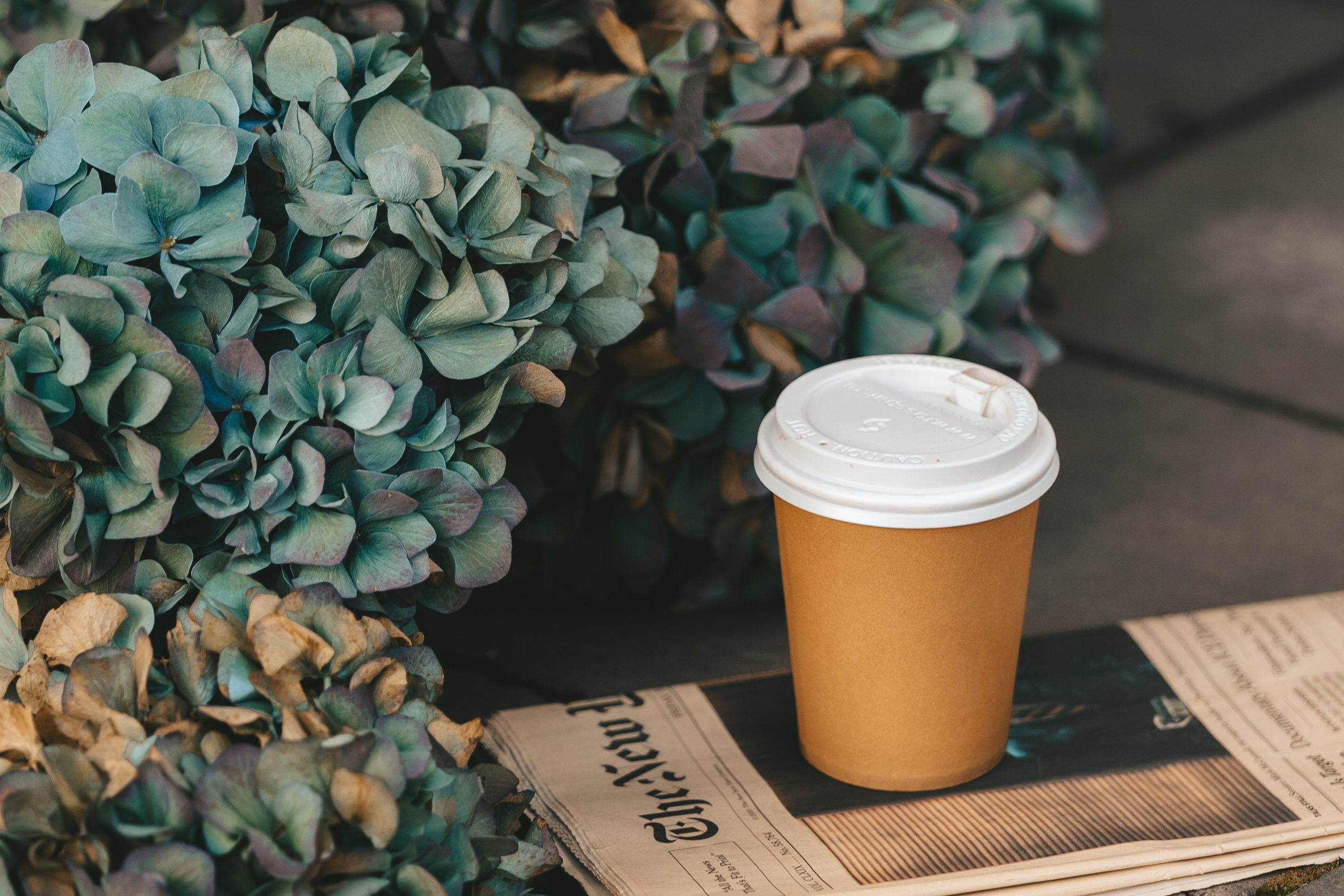 Контакты. Семейный, детский фотограф в Красноярске Анна Хлябич