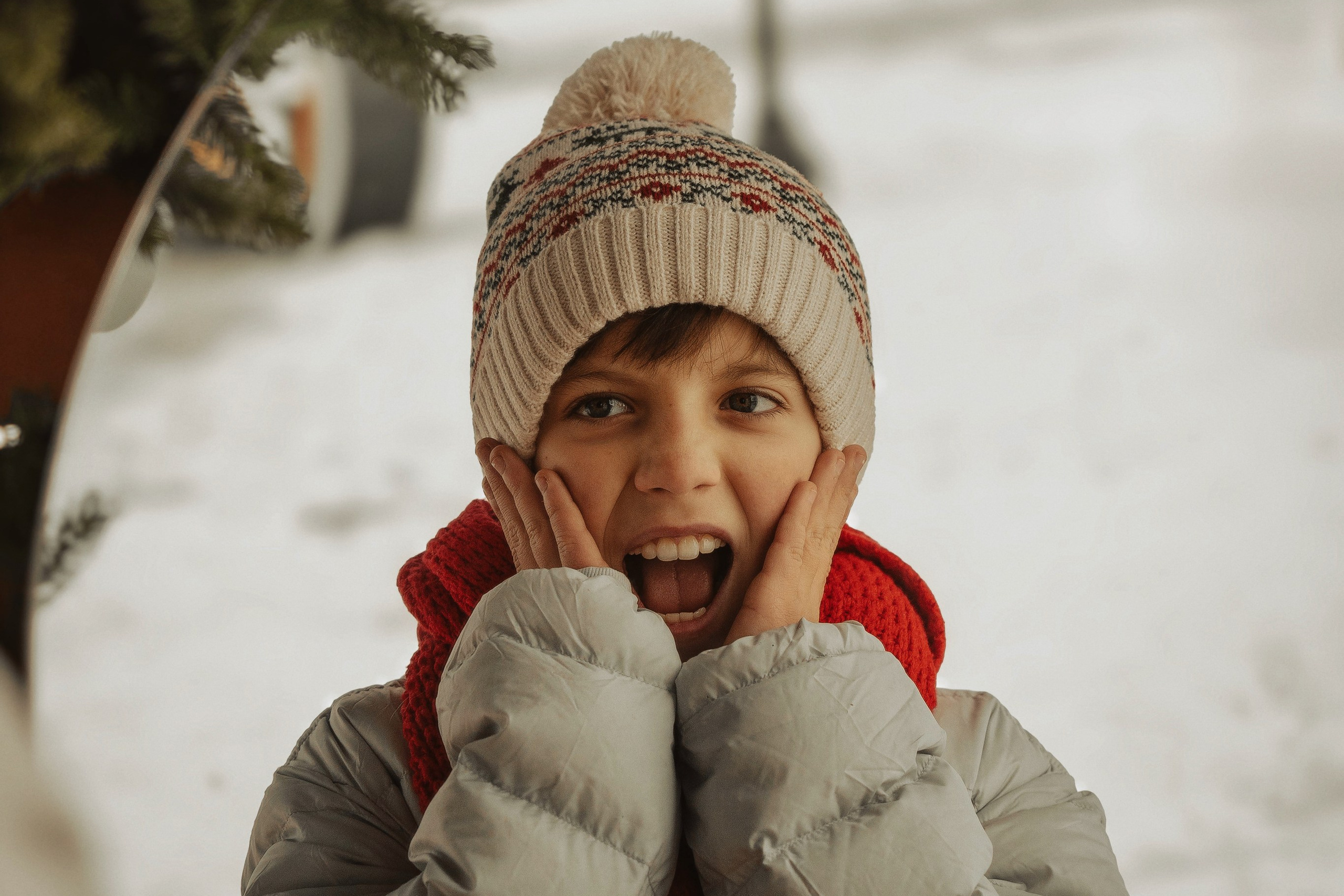 Услуги. Семейный фотограф анималист г. Находка