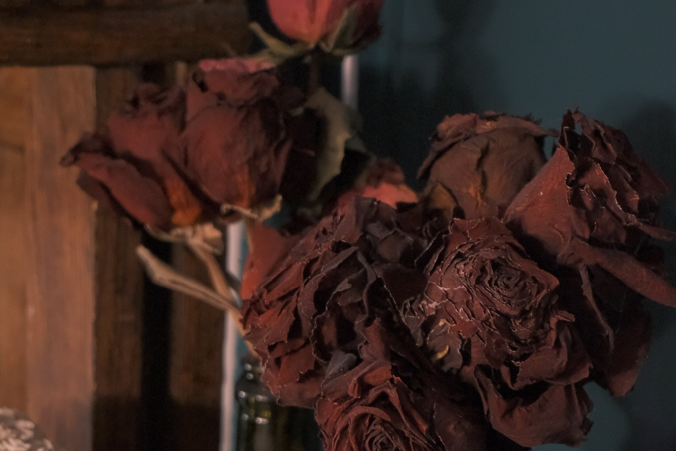 Фотограф из Санкт- Петербурга