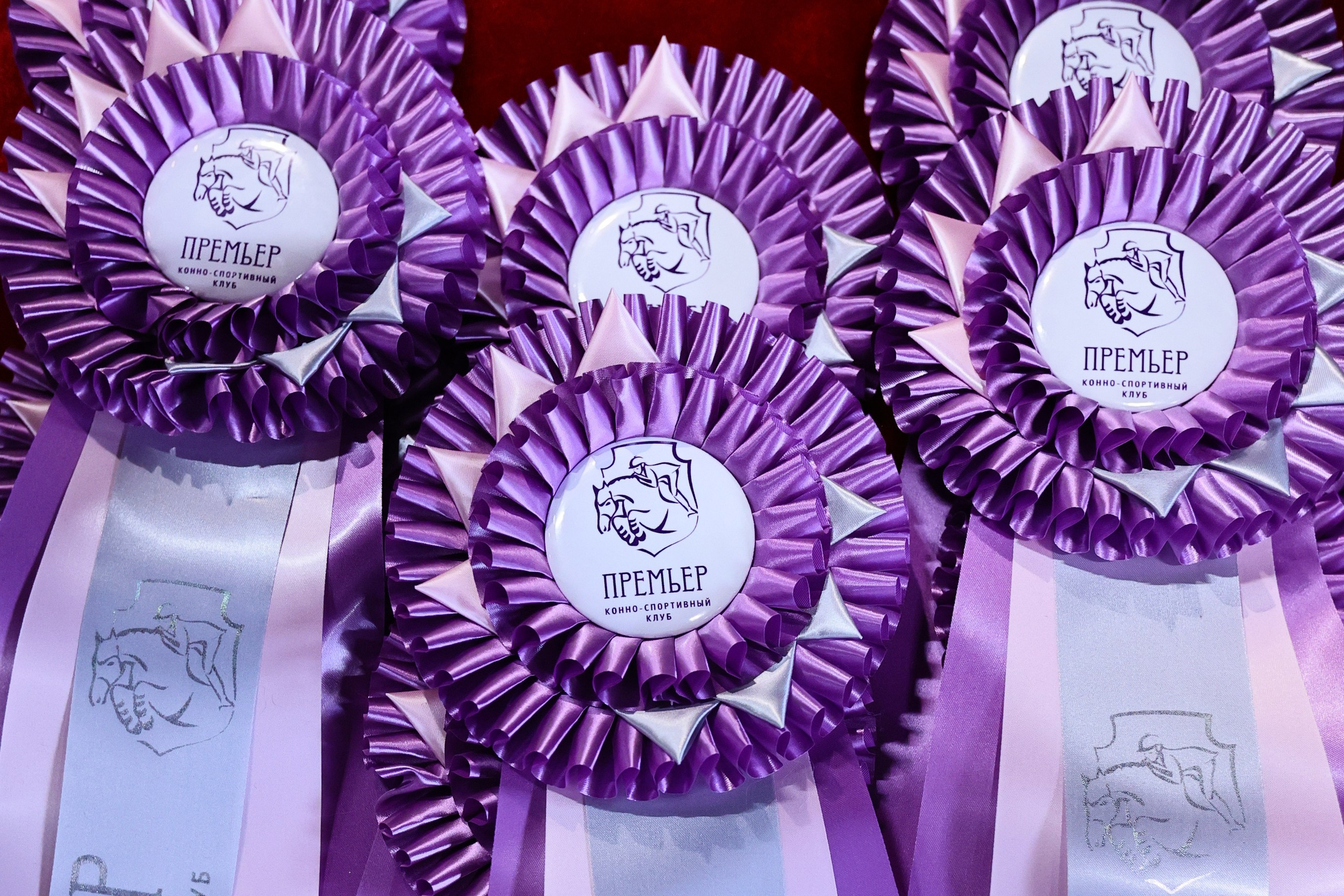 Купить фотографии с турниров. KatymartArt — Equine photography