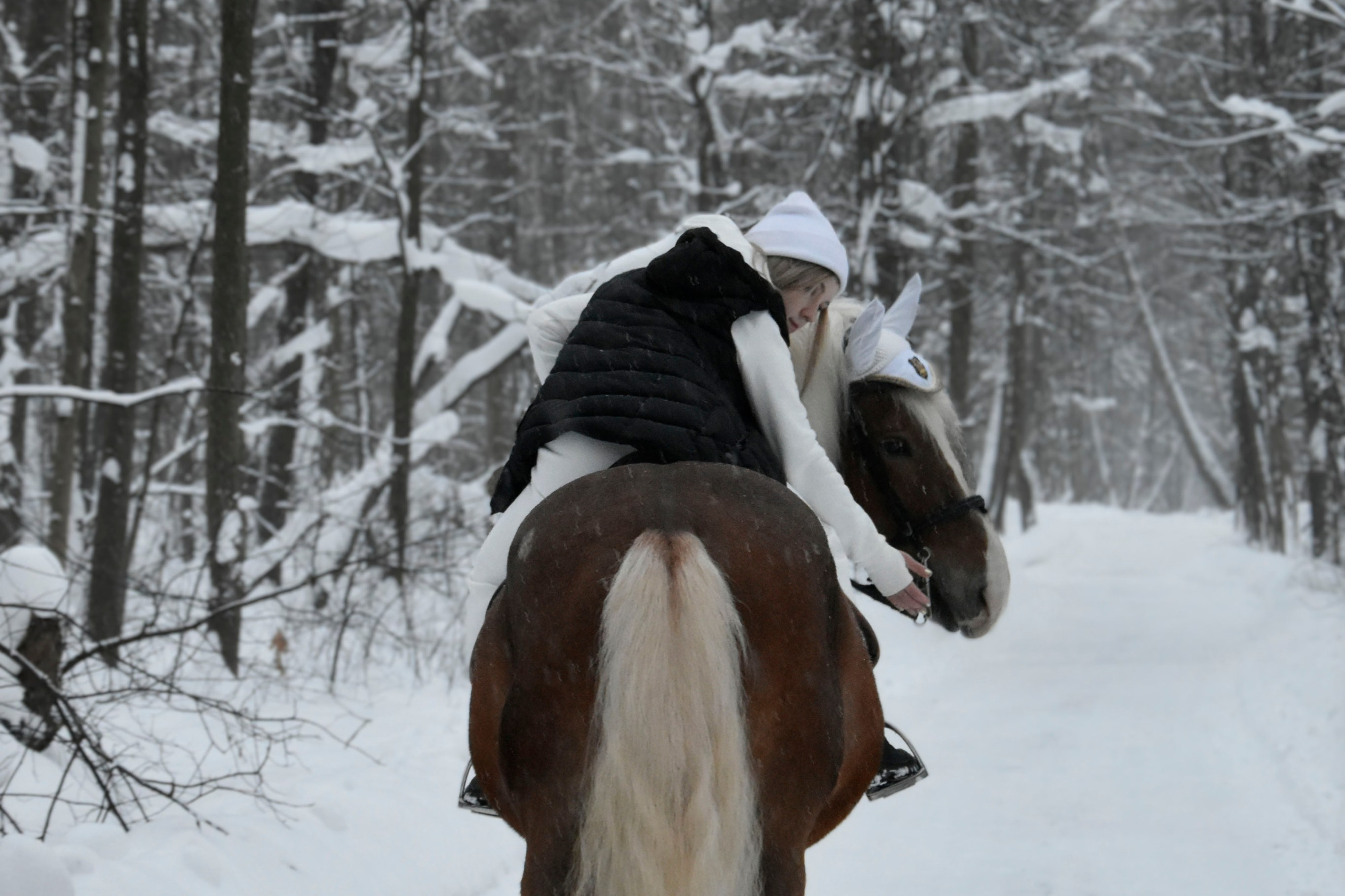 Услуги. Конный фотограф Москва