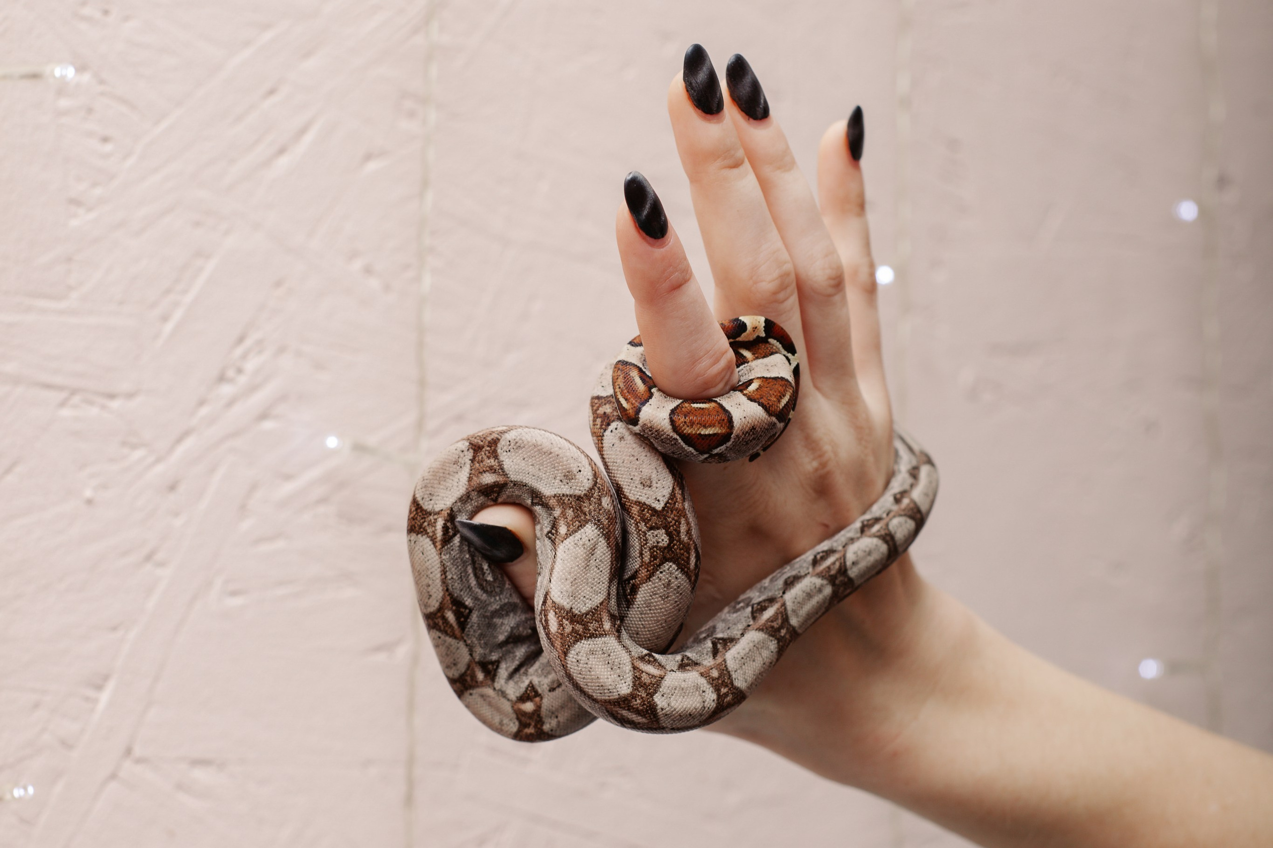 Модели змей. Фотограф Алёна Сергеевна Aloha_chë