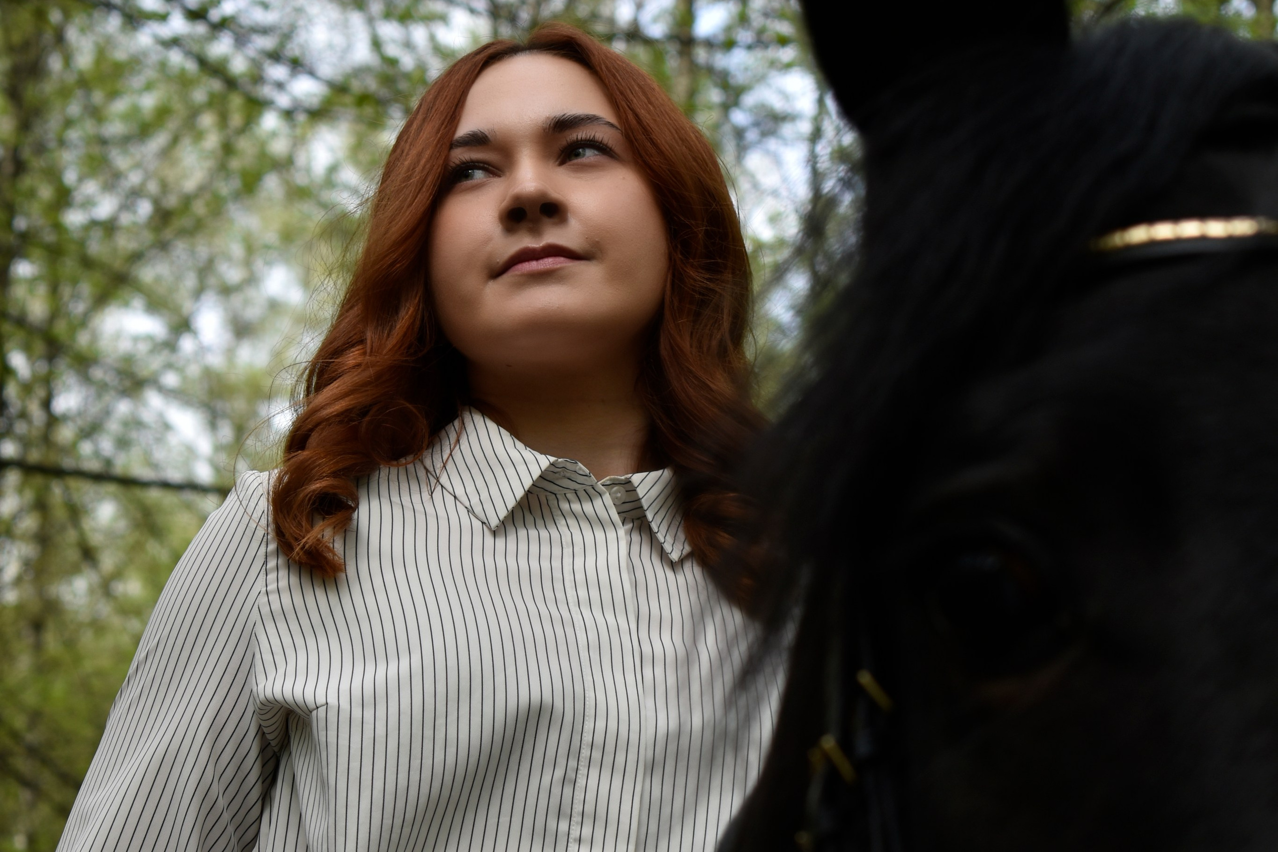 Услуги. Конный фотограф Москва