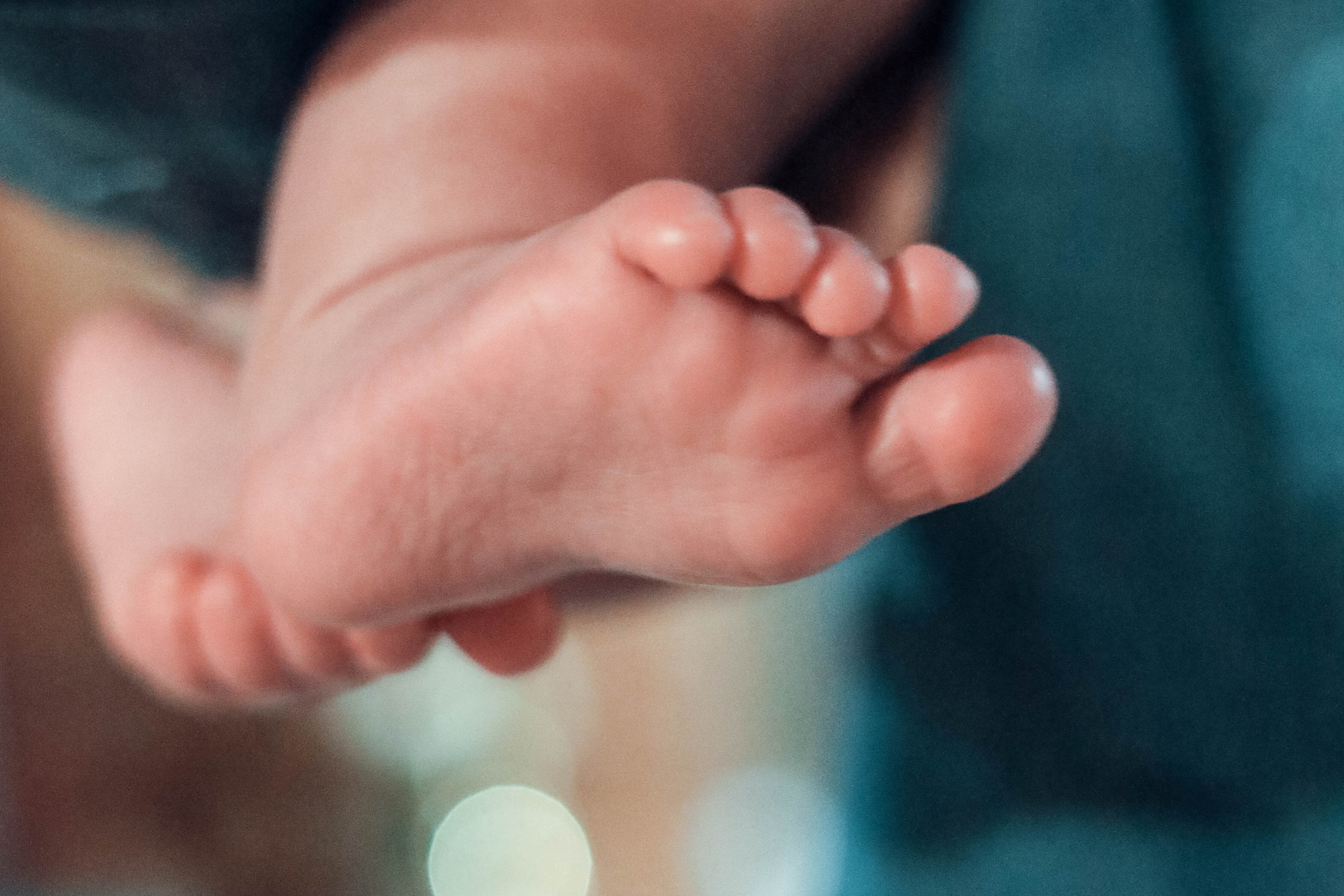 Артеменкова Анна Фотограф