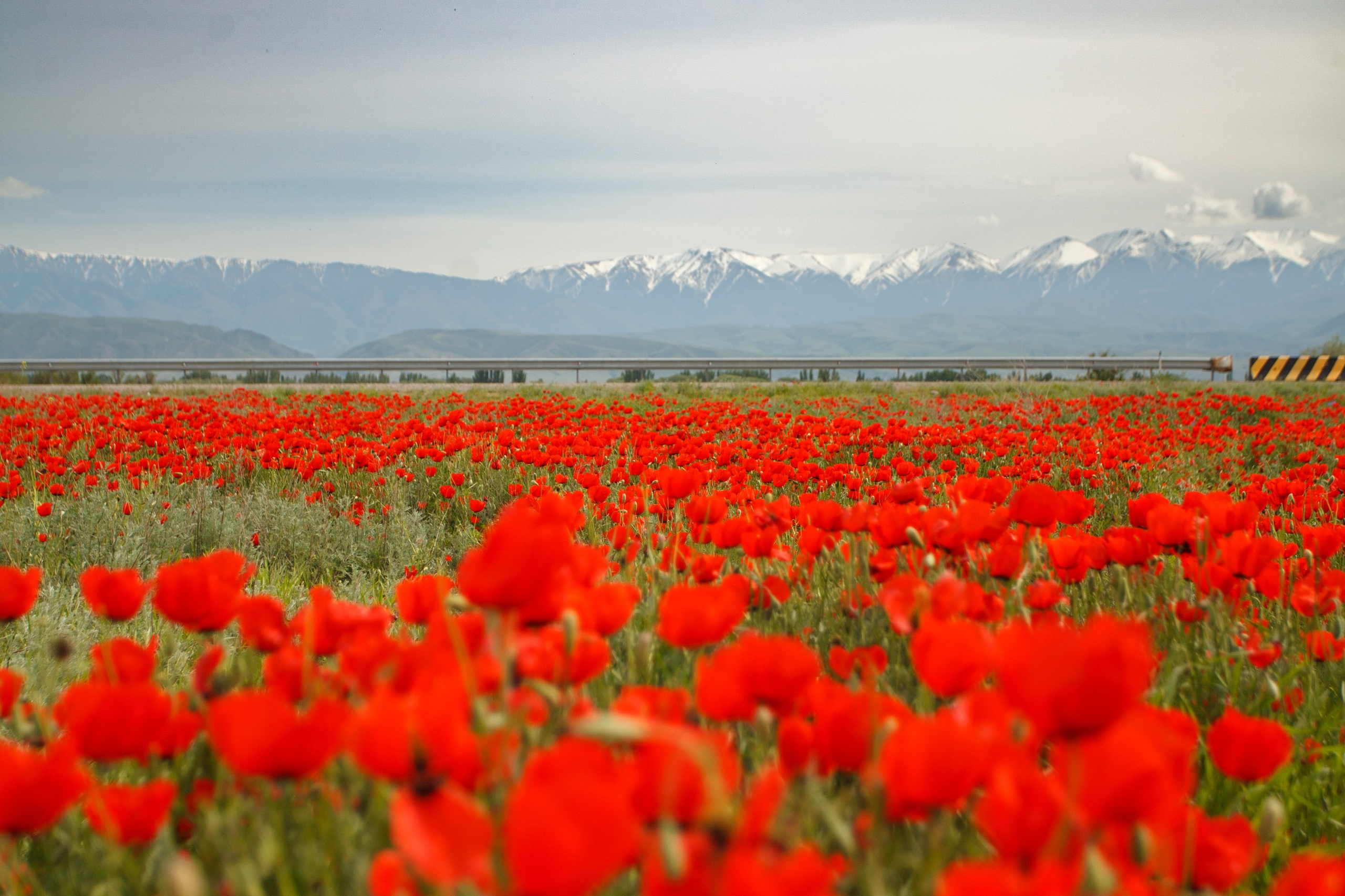 Вопросы. Экскурсии и туры по Алматы