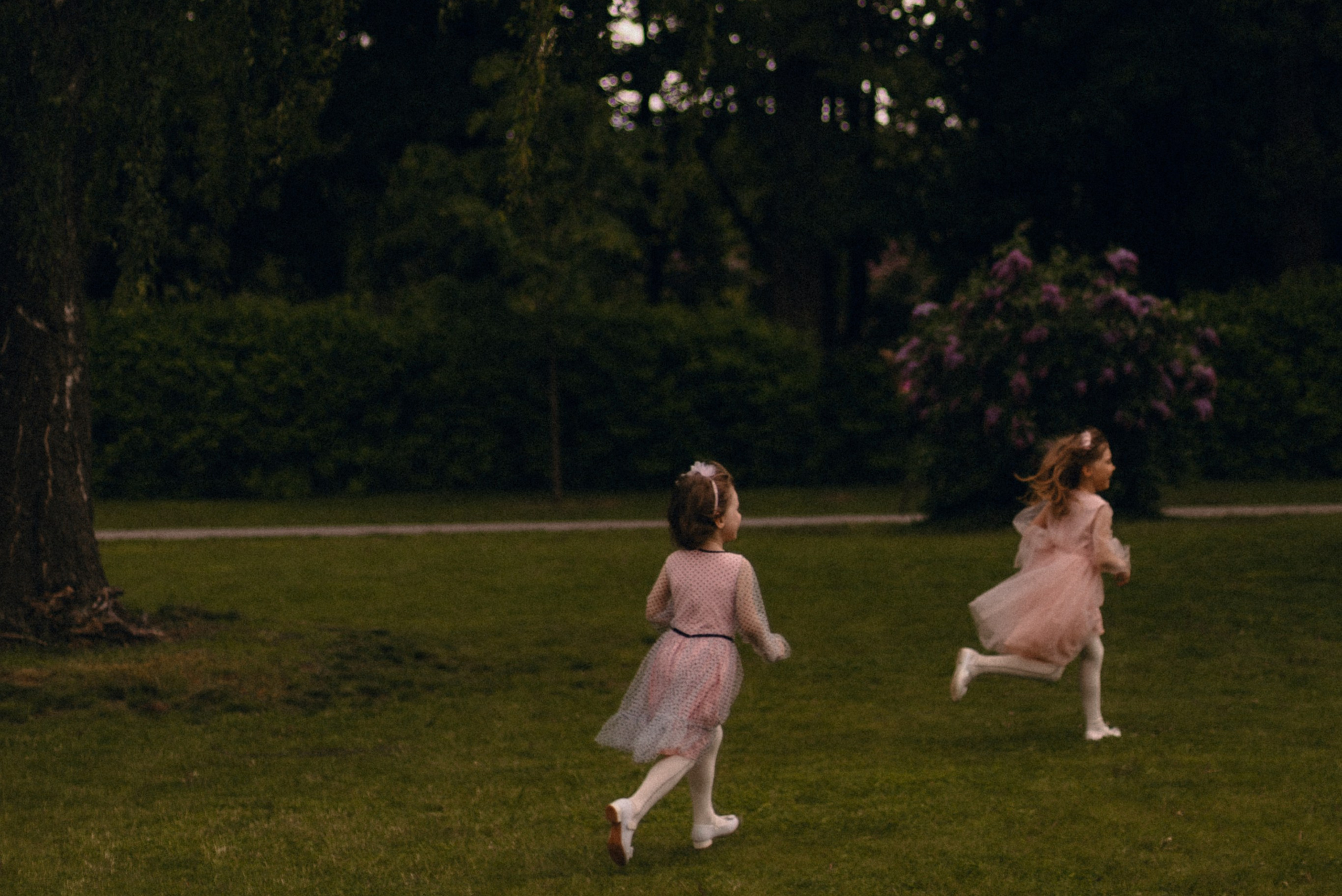 KSUSHA LITVINA photography