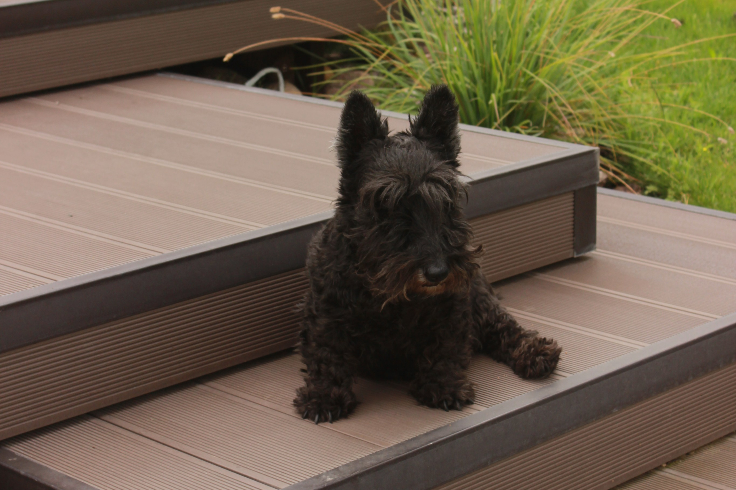 Комплектация материалов. LA. Ландшафтный дизайн в Минске и Гродно