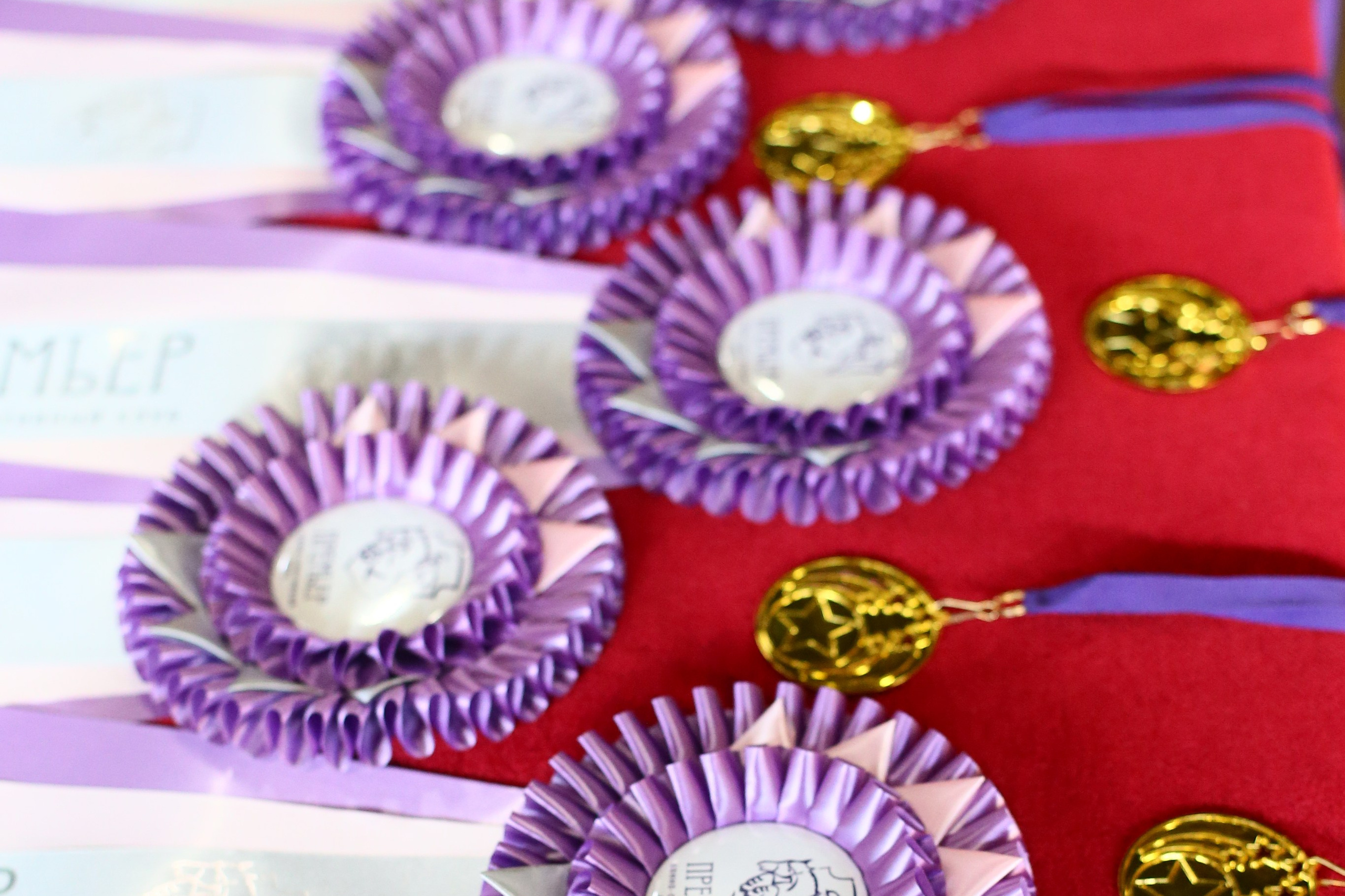 Купить фотографии с турниров. KatymartArt — Equine photography