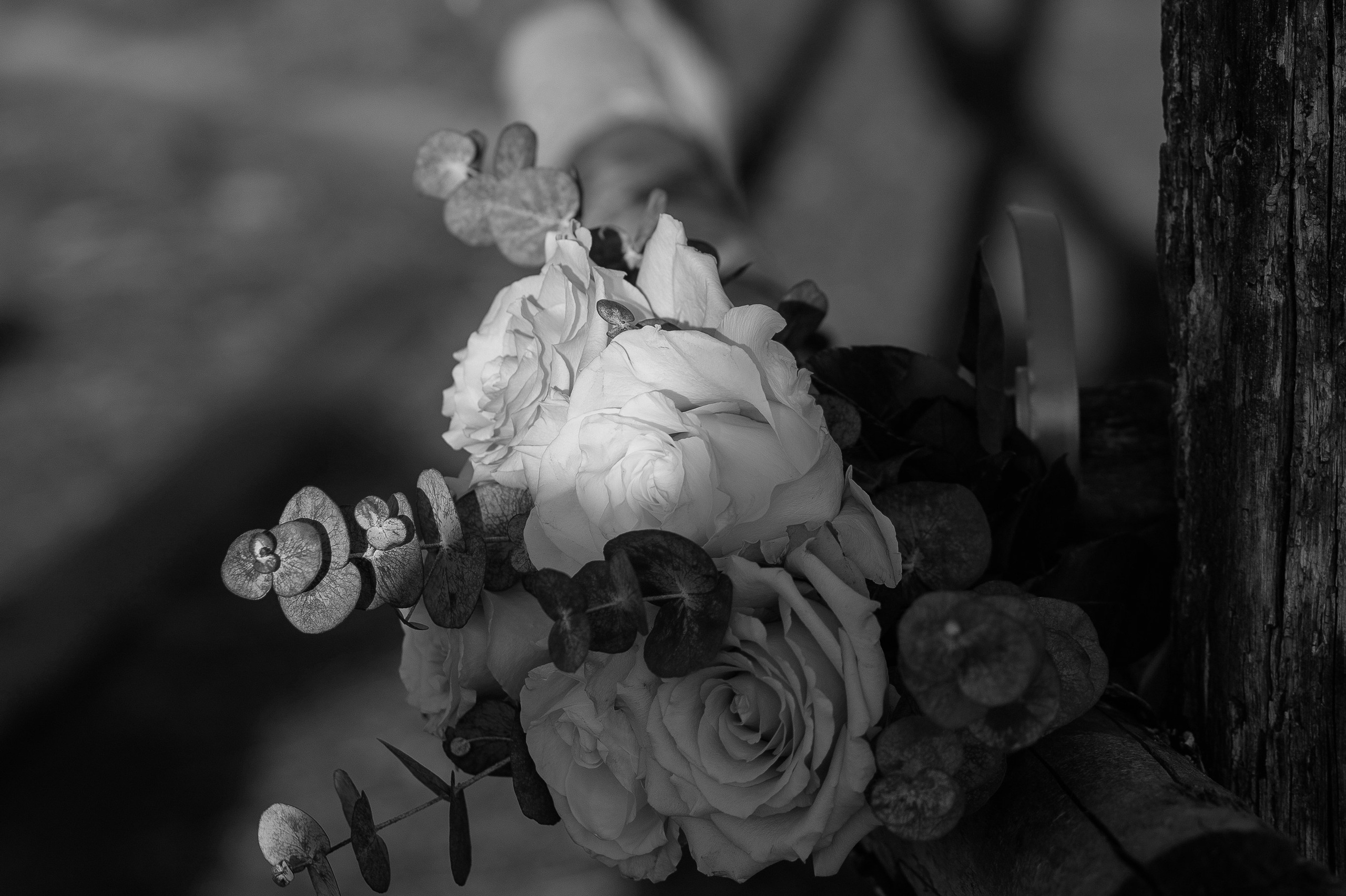 Wedding Price. Фотограф для Людей и для Брендов в Тамбове. Татьяна Энговатова