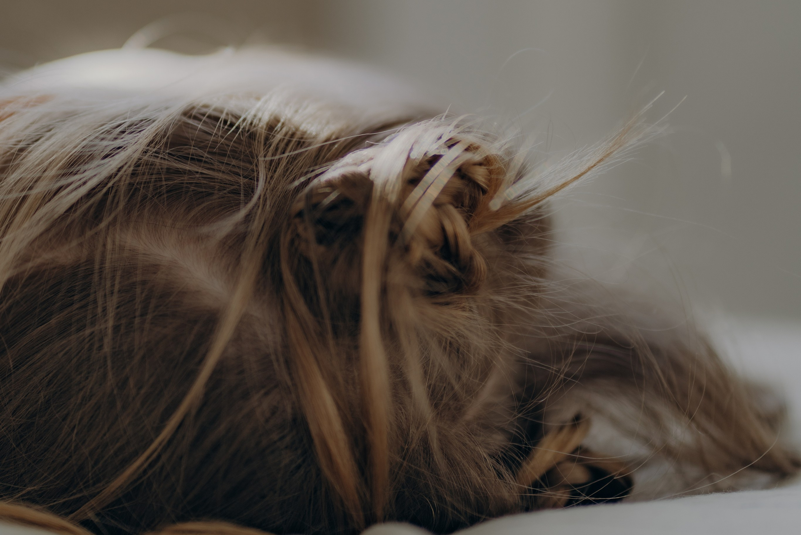 Услуги. Фотограф в Красноярске Евгения Дозорцева (Ахиезер)