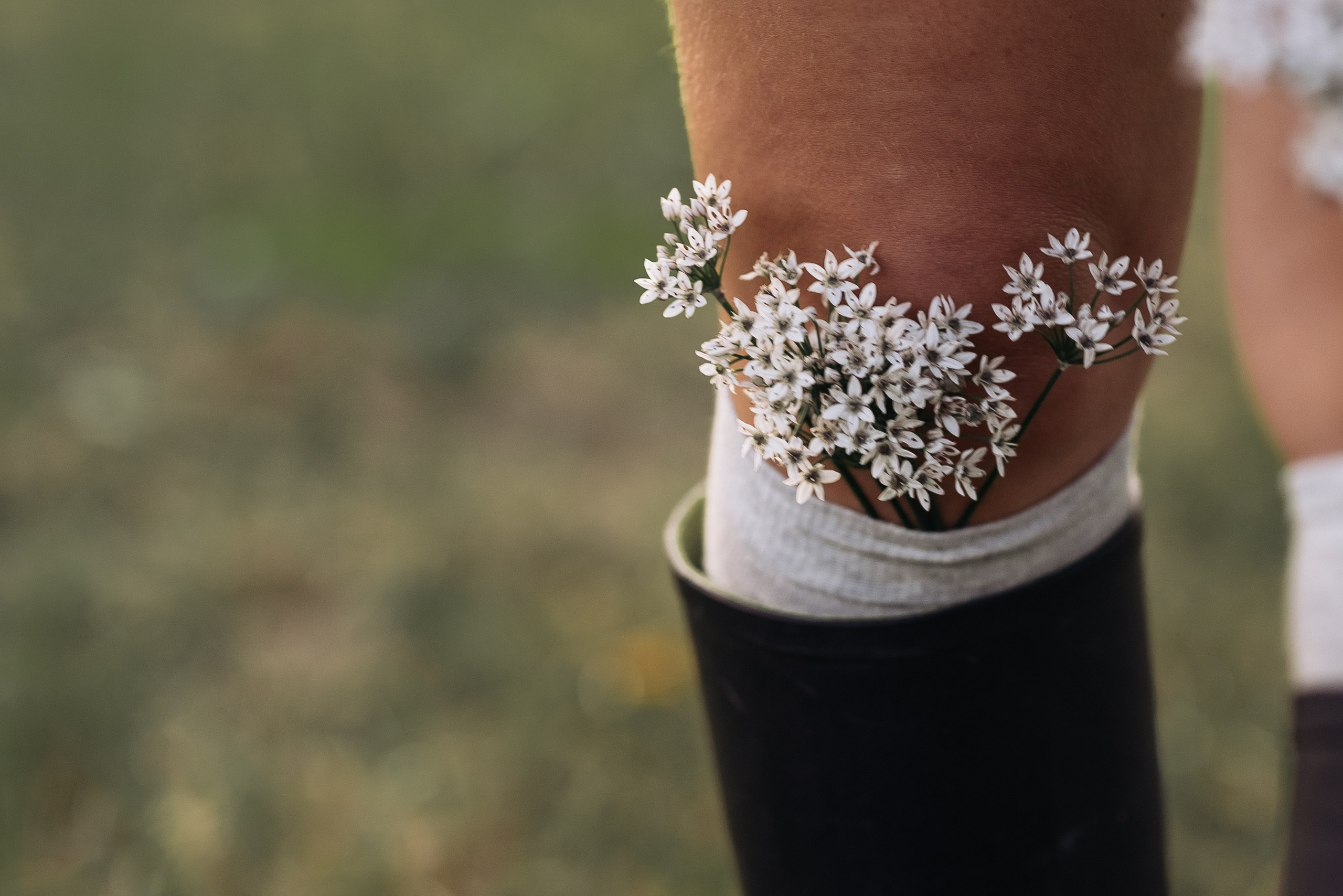 Услуги. Семейный фотограф в Красноярске