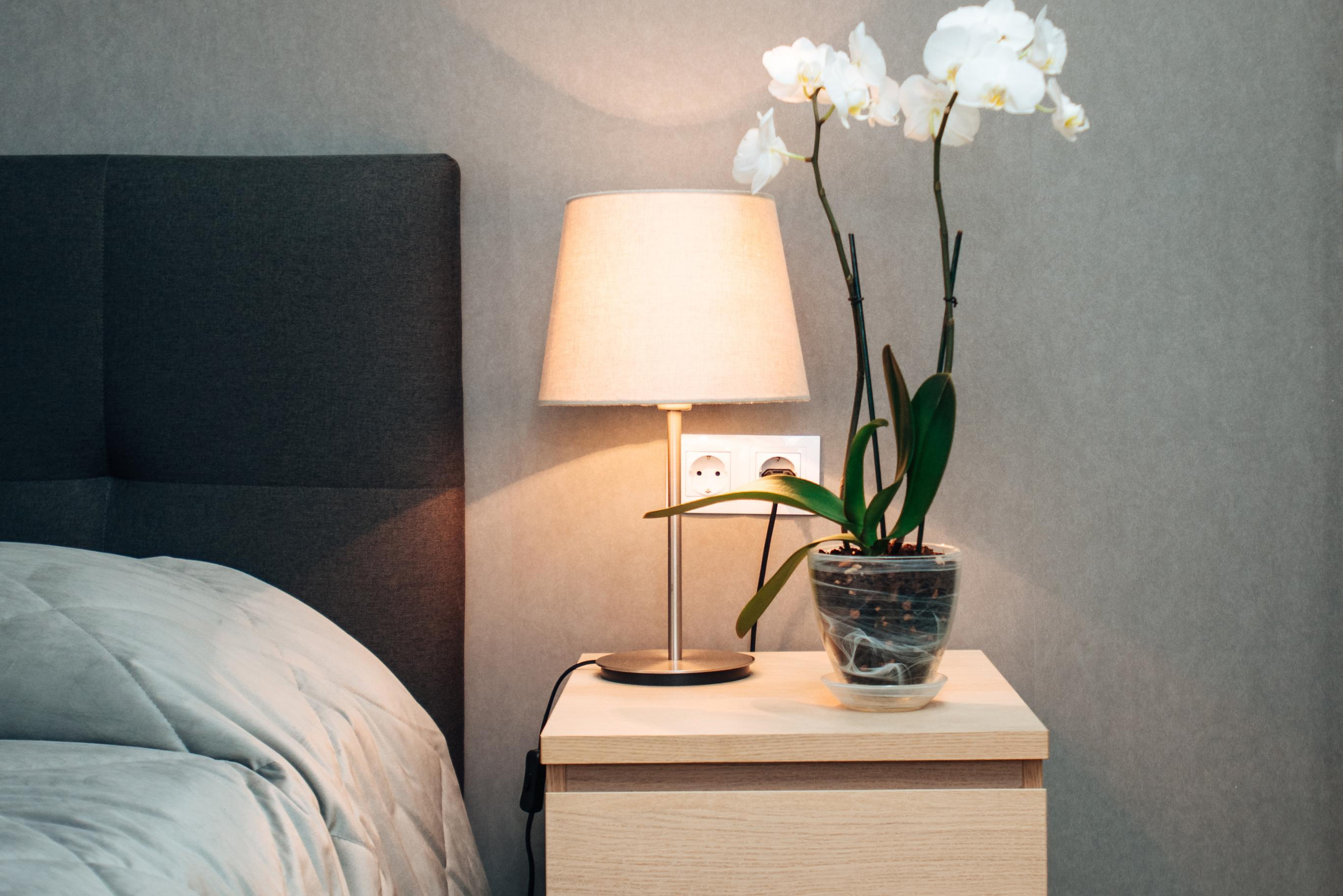 Цена на фотосъемку. Фотограф Алла Елисеева