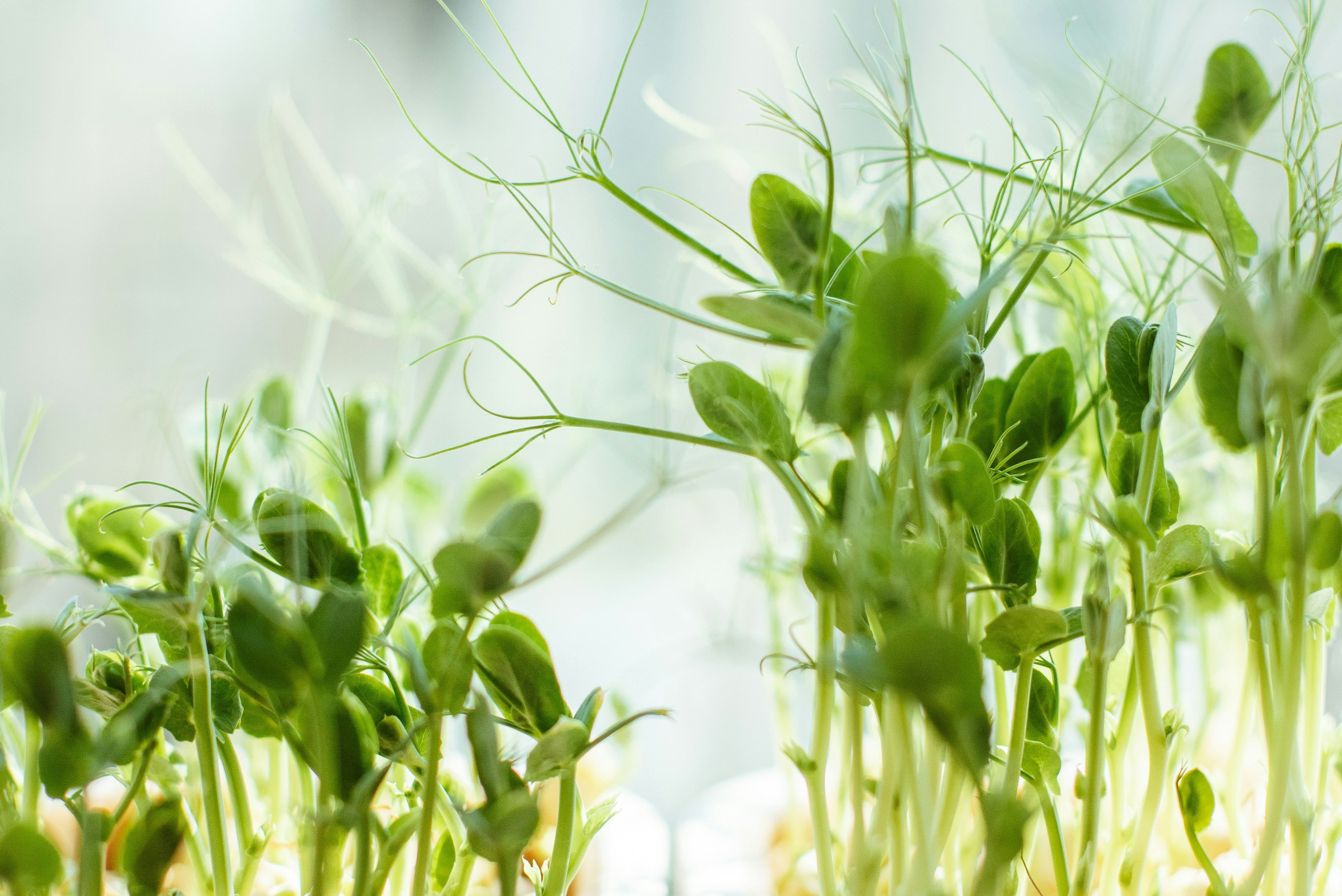 Услуги. Главная