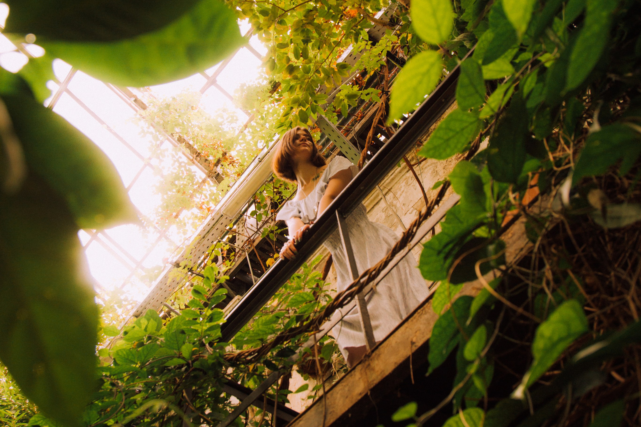 Фотосинтез. Творчество, исцеление, эстетика и щепотка волшебства