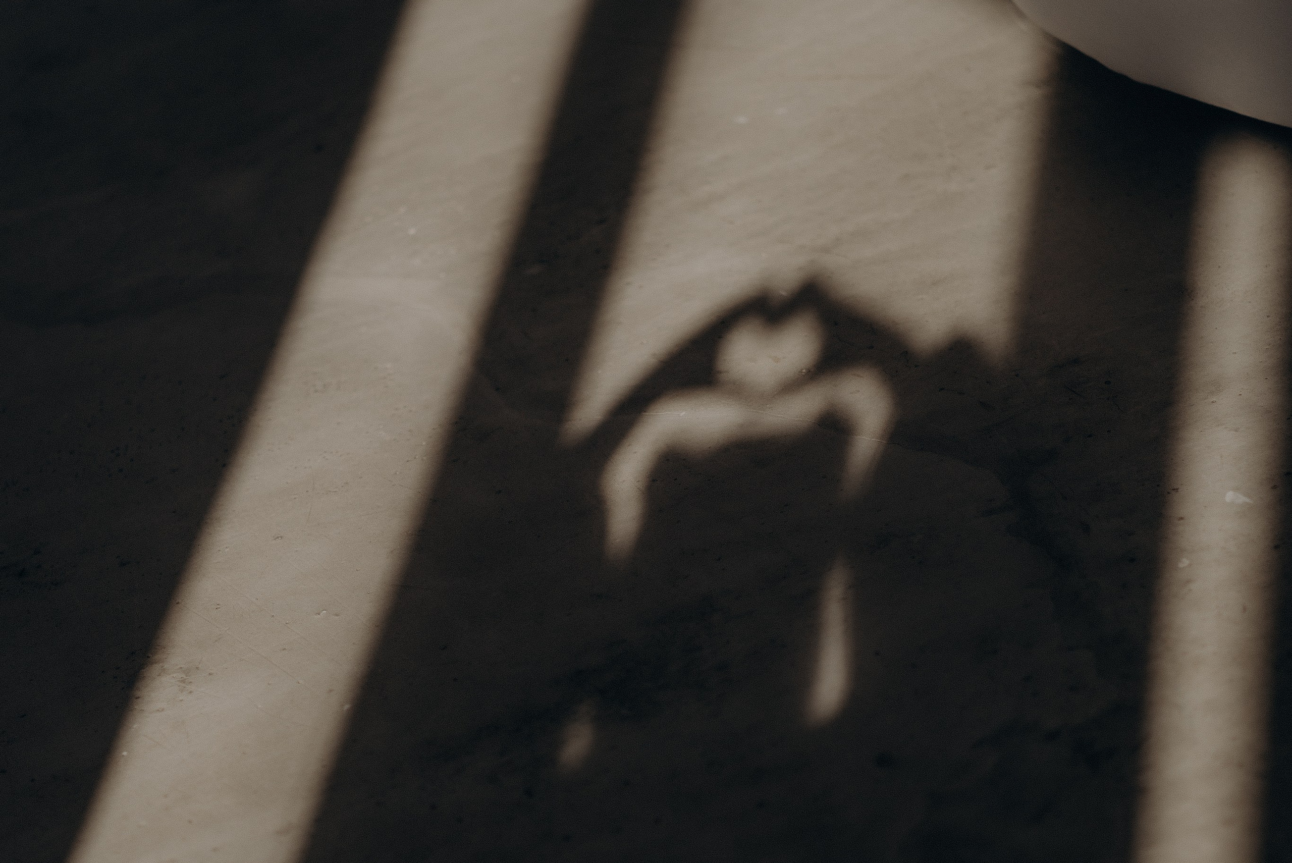 Услуги. Фотограф в Красноярске Евгения Дозорцева (Ахиезер)